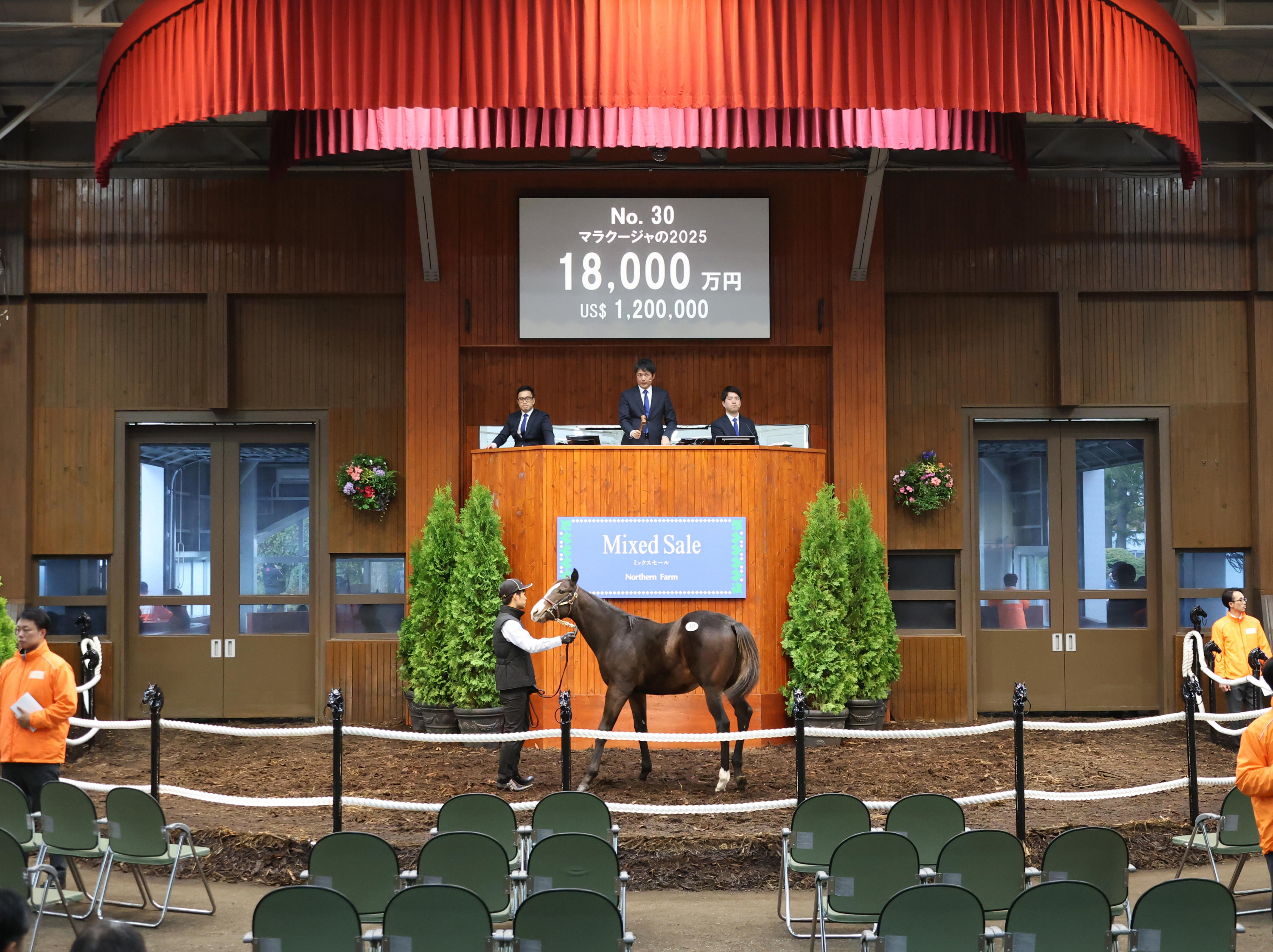 ミックスセール・当歳】父キタサンブラックの牡馬が1億8000万円