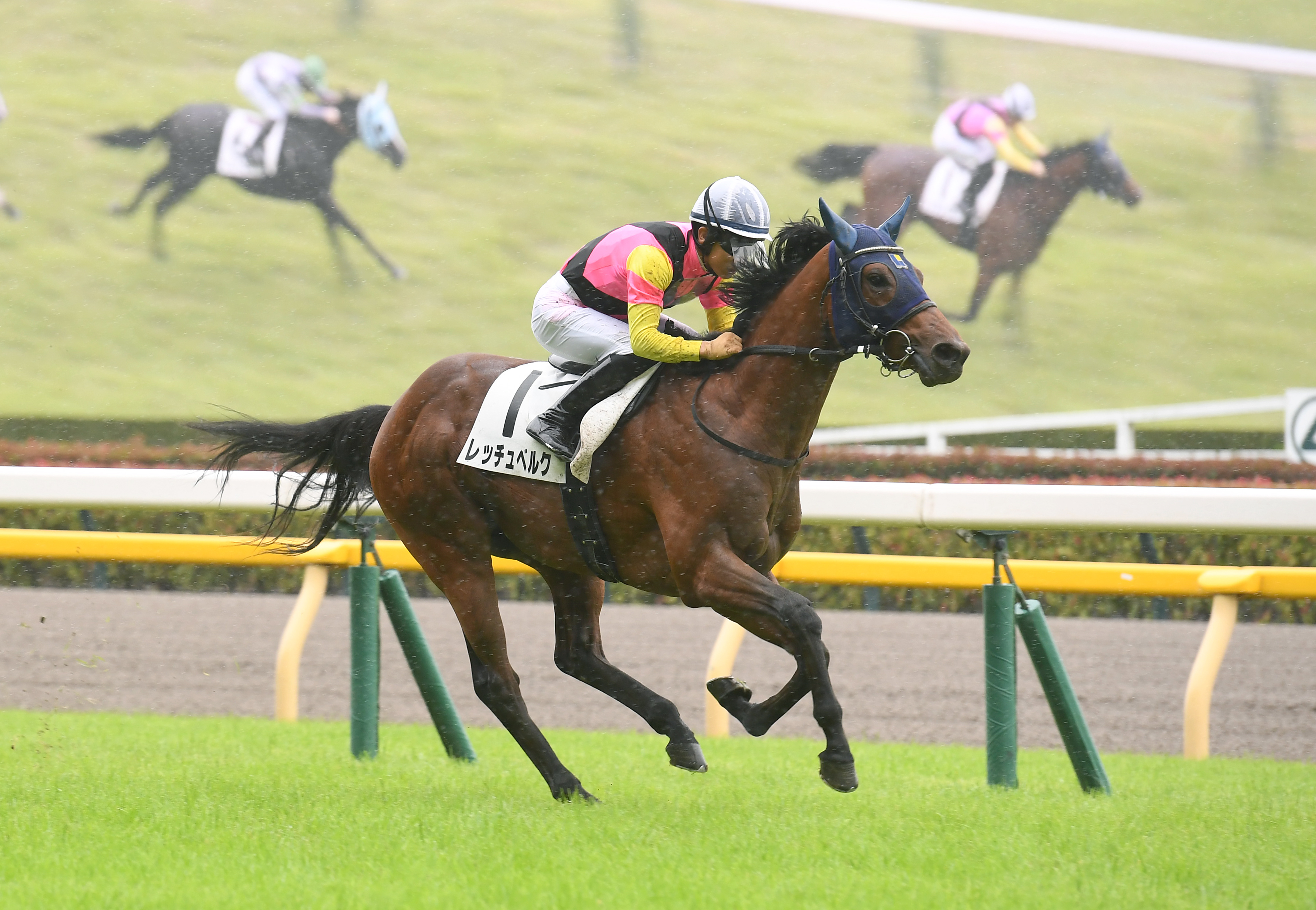 2歳次走報】東京マイルで新馬Vのレッチュベルクは新潟2歳Sへ