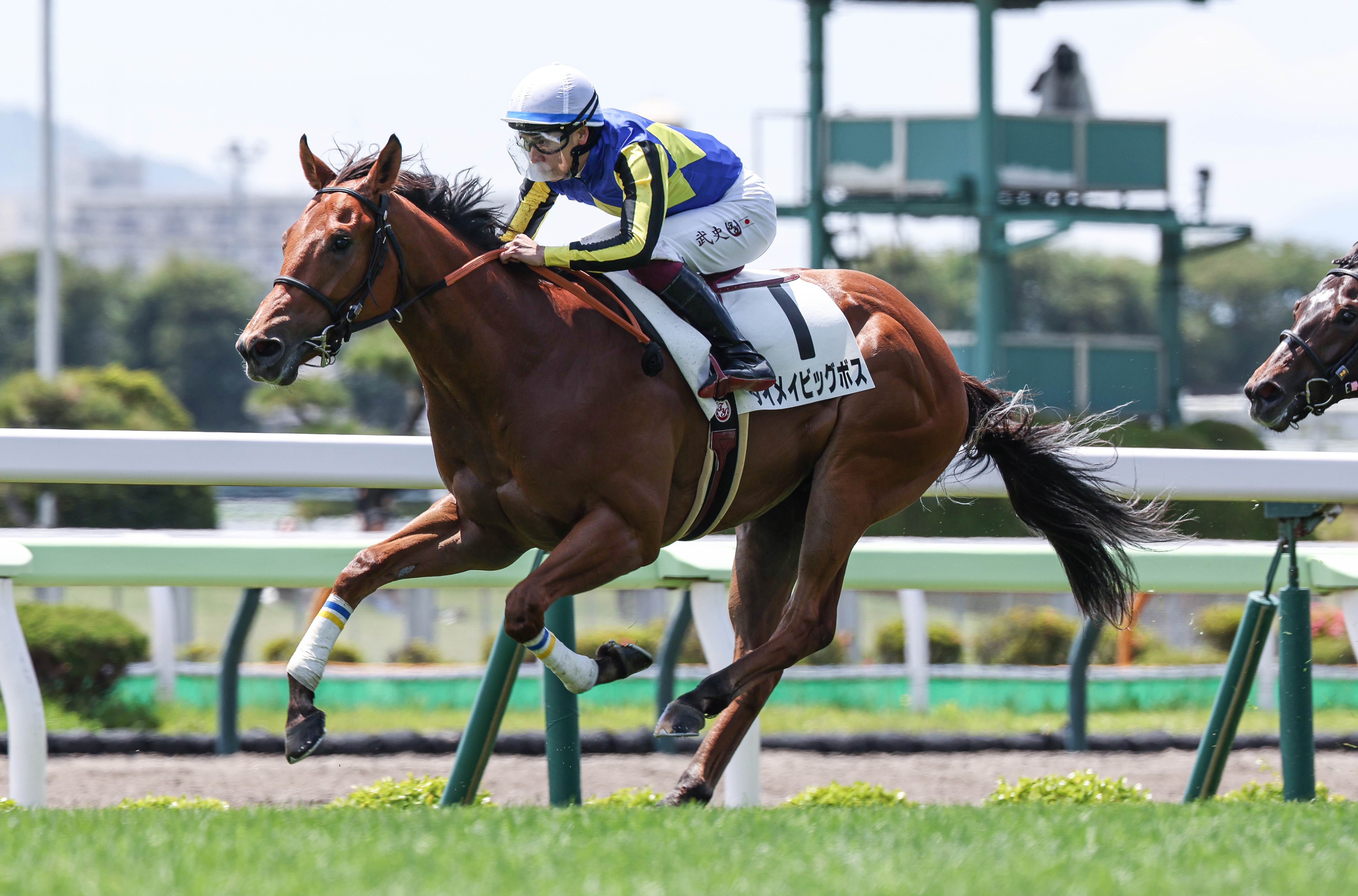 ヒロシのDeepな話】4回中山の芝は今年もキングカメハメハの血を持つ馬