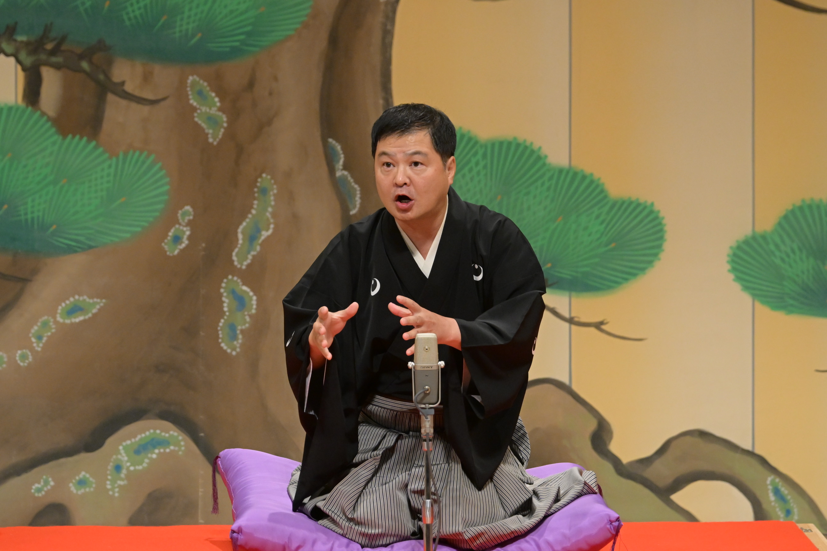 活動歴および当時の関連ビジュアル記録