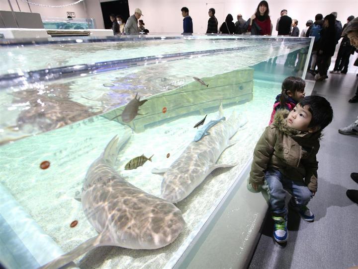 エキスポシティ おまたせ 開業に4千人列 大阪 万博記念公園 イザ エキスポシティ おまたせ 開業に4千人列 大阪 万博記念公園 イザ