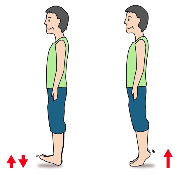 技あり ほねつぎの健康術 ３９ 伸び上がり運動で転倒防止 1 2ページ 産経ニュース
