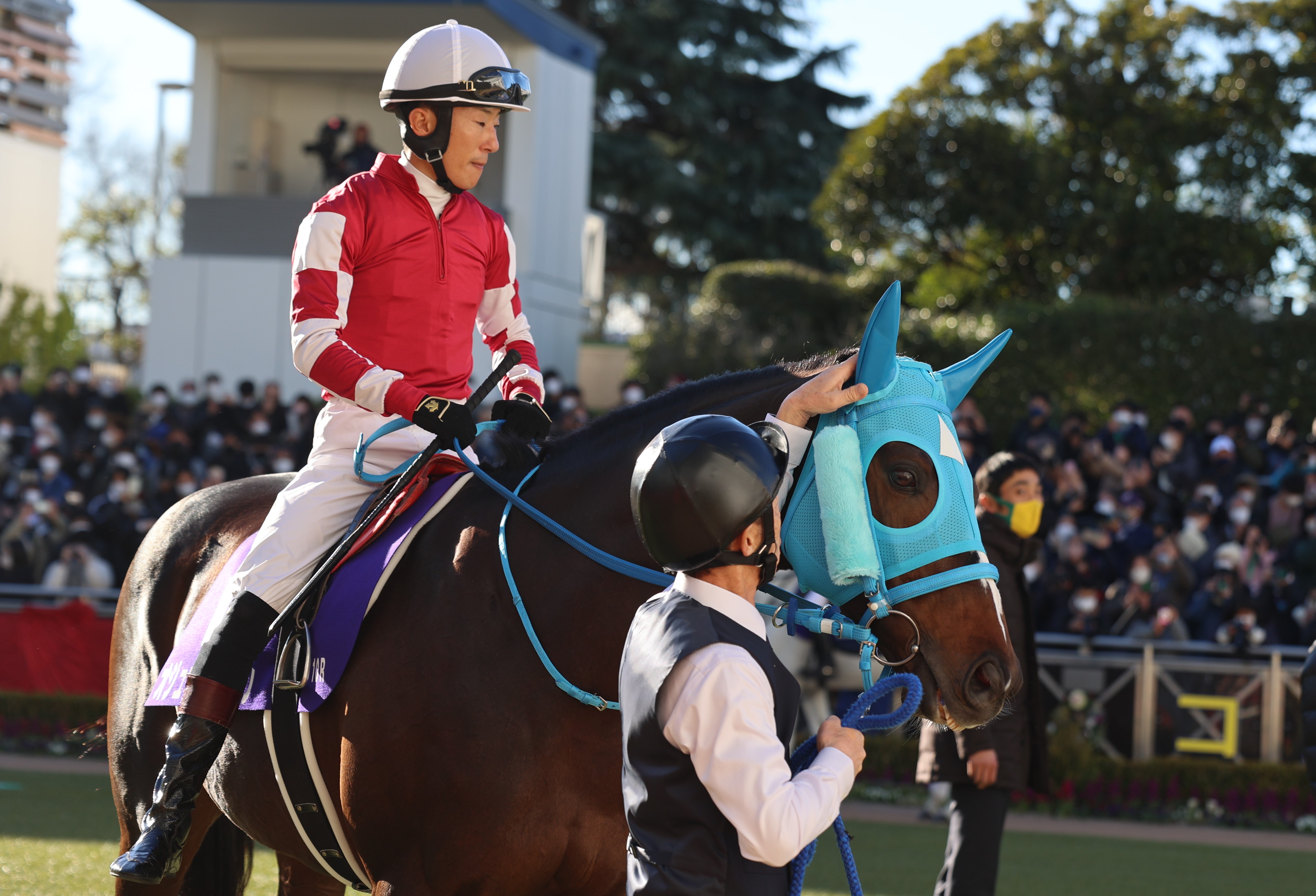 障害レースの「絶対王者」オジュウチョウサンが引退、種牡馬に 石神騎手「子供に乗りたい」 - 産経ニュース