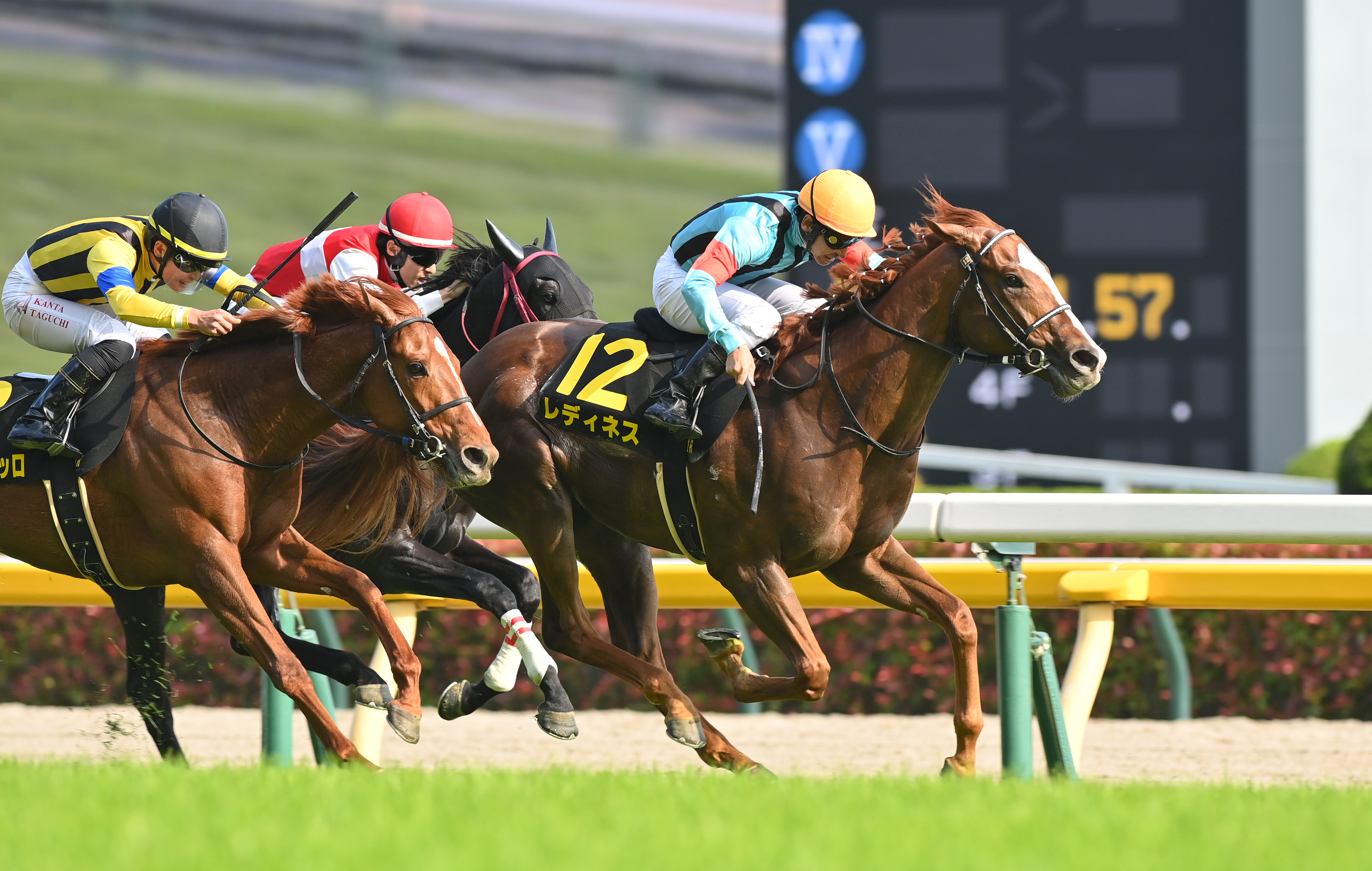 プリンシパルS】レディネス、直線一気 日本ダービー優先出走権ゲット