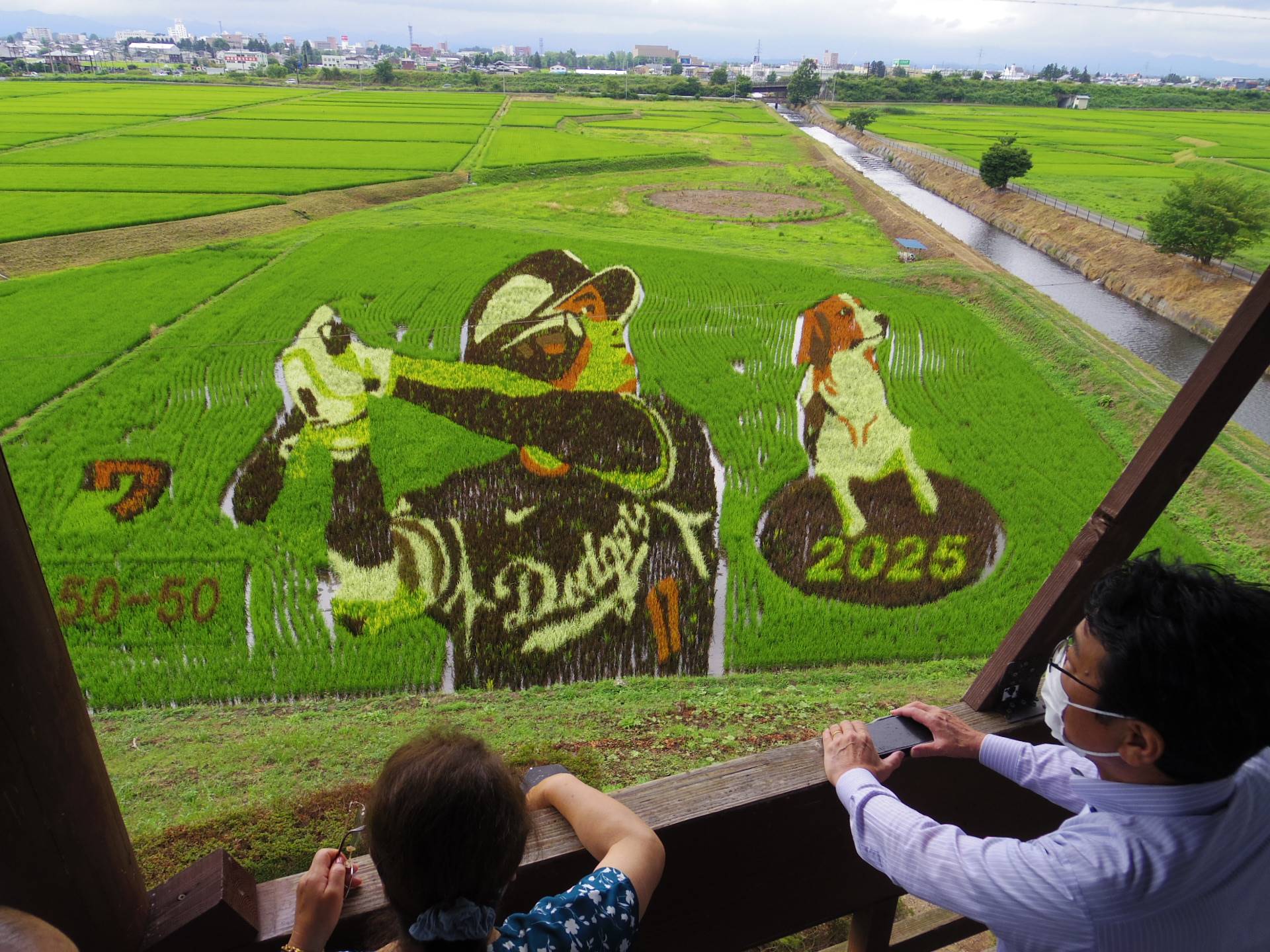 愛犬デコピンも ドジャース大谷翔平選手の田んぼアートが見頃 出身地の