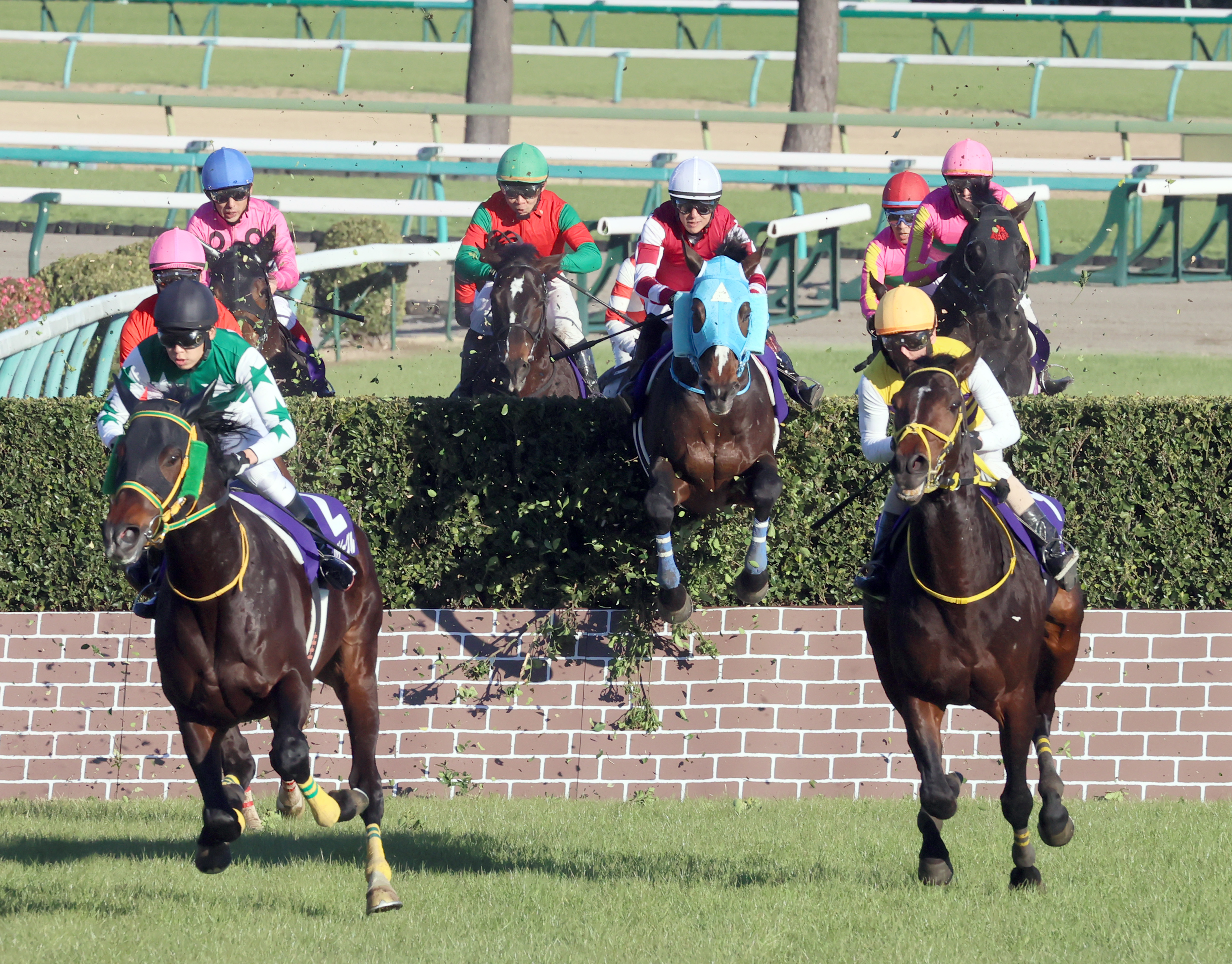 障害レースの「絶対王者」オジュウチョウサンが引退、種牡馬に 石神騎手「子供に乗りたい」 - 産経ニュース