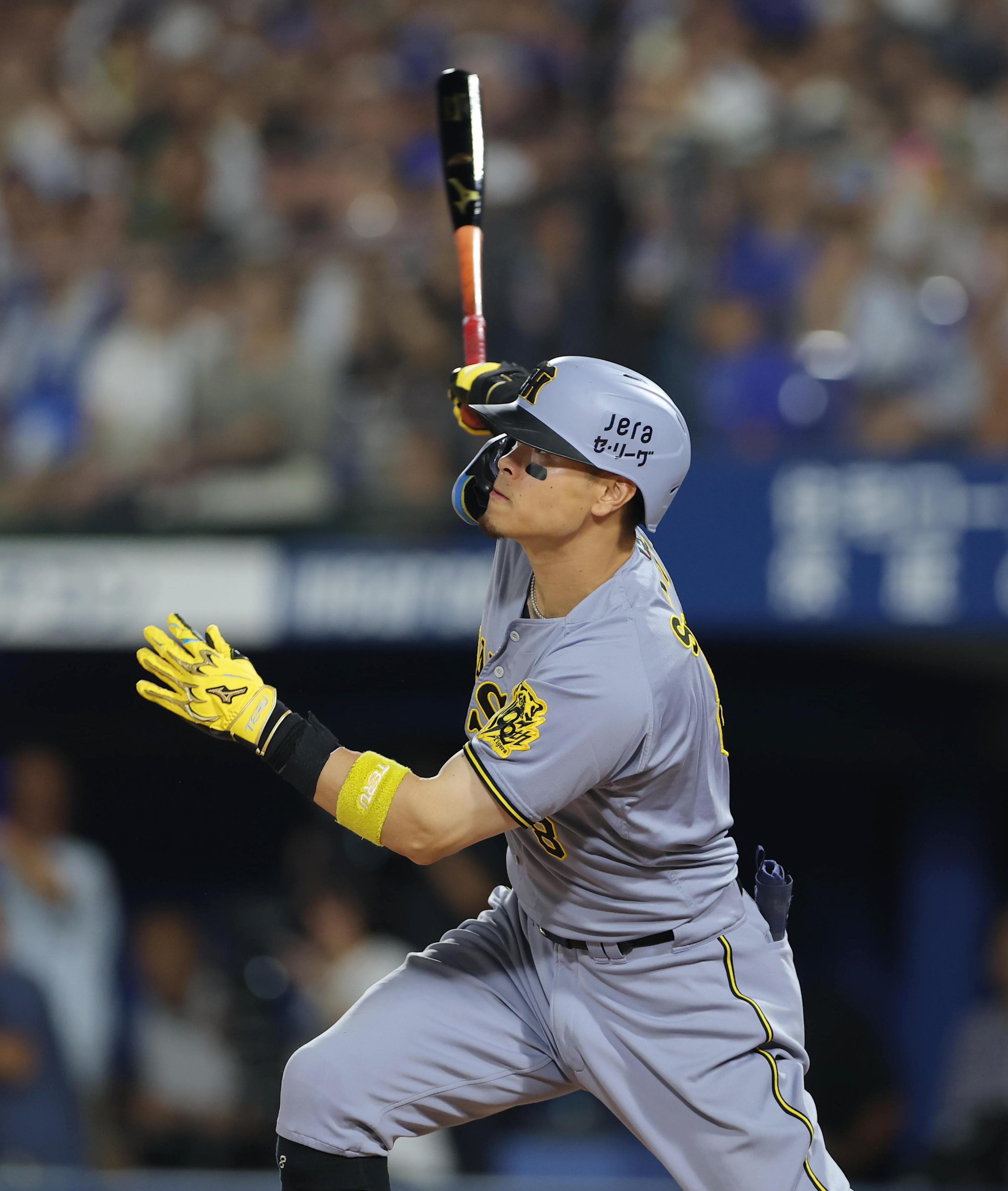 大阪体育大学　野球　ブイジャン　L 値下げ交渉可 阪神・佐藤輝明、目の前で申告敬遠…満塁、燃えた！ V犠飛で6連勝、2位