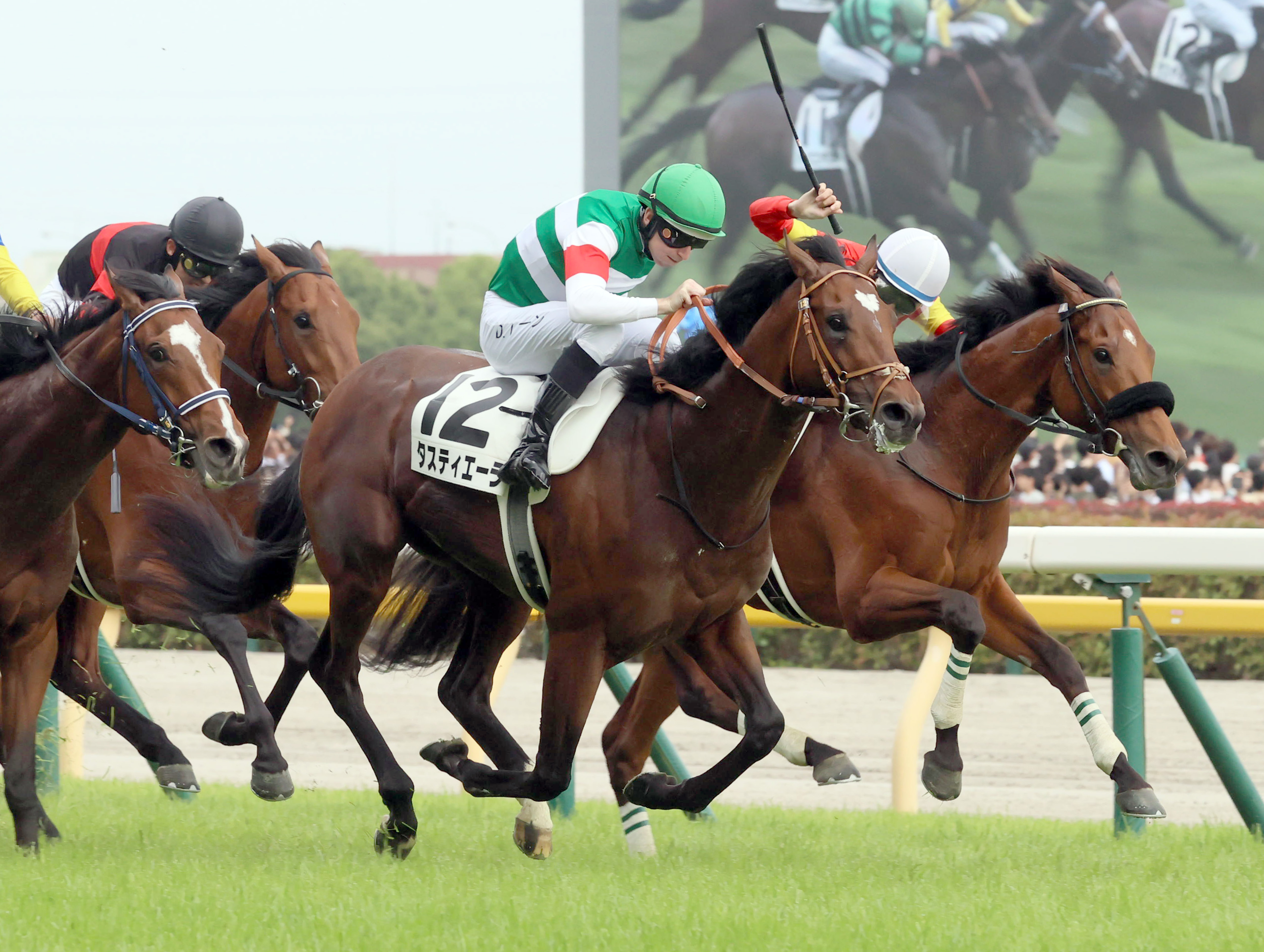 【菊花賞】２３年ぶり激突！ダービー馬タスティエーラは４枠７番 ...