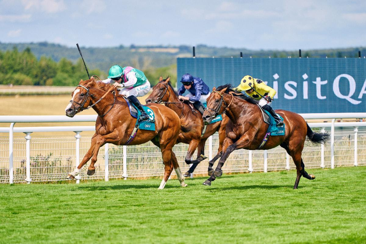 サセックスS】凱旋門賞馬の半弟キラートが単勝151倍で大金星