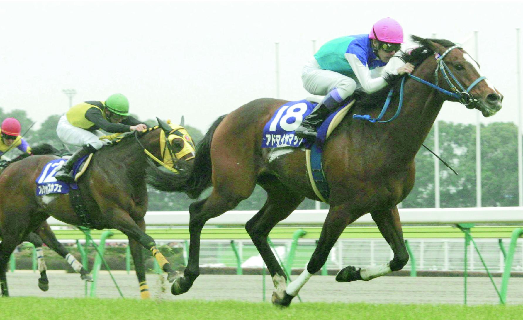 【現地的中】単勝馬券 1998年 ラジオたんぱ杯3歳S アドマイヤベガ 武豊 現地的中】単勝馬券 1998年 ラジオたんぱ杯3歳S アドマイヤベガ 武豊