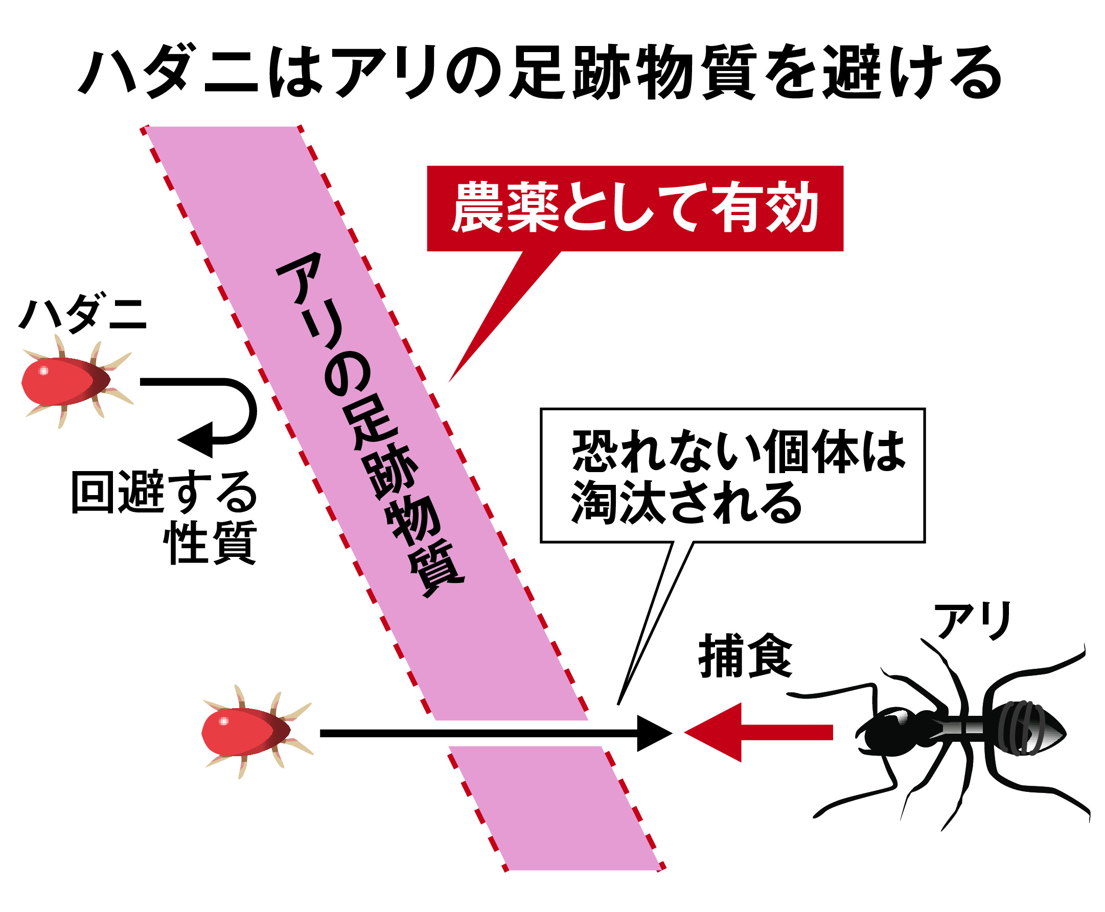 オススメ！助かりグッズ】「くすのき防虫 ハンギングブロック」 - 産経ニュース