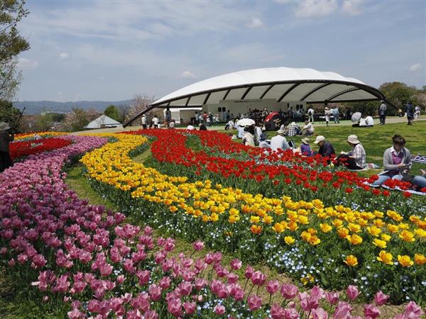 ３７万株のチューリップを満喫 奈良 馬見丘陵公園で７日からフェア 産経ニュース