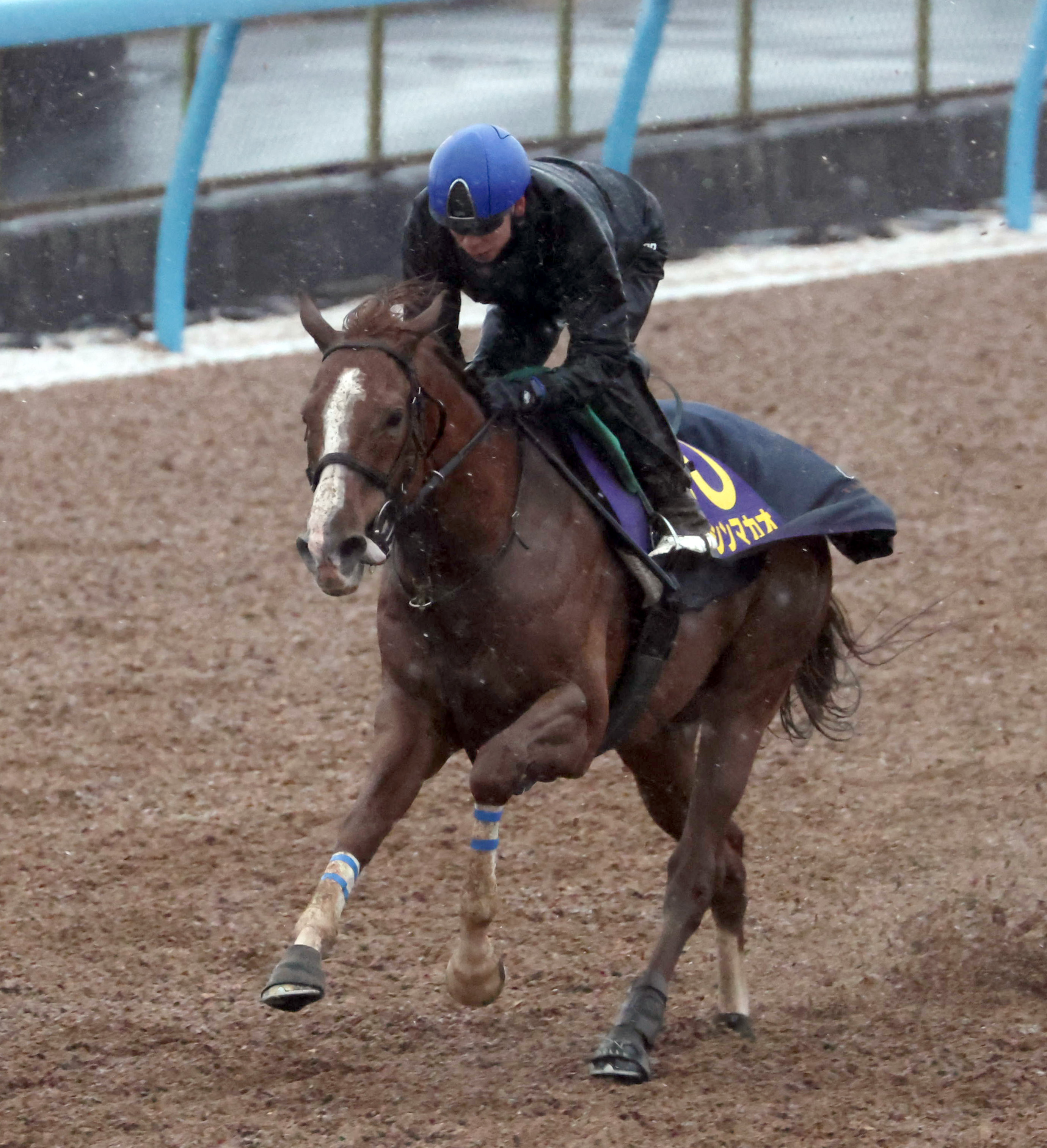 赤馬像 骨董品 跳ね馬 【傷、ヒビあり】 赤馬像 骨董品 跳ね馬 【傷、ヒビあり】 - メルカリ