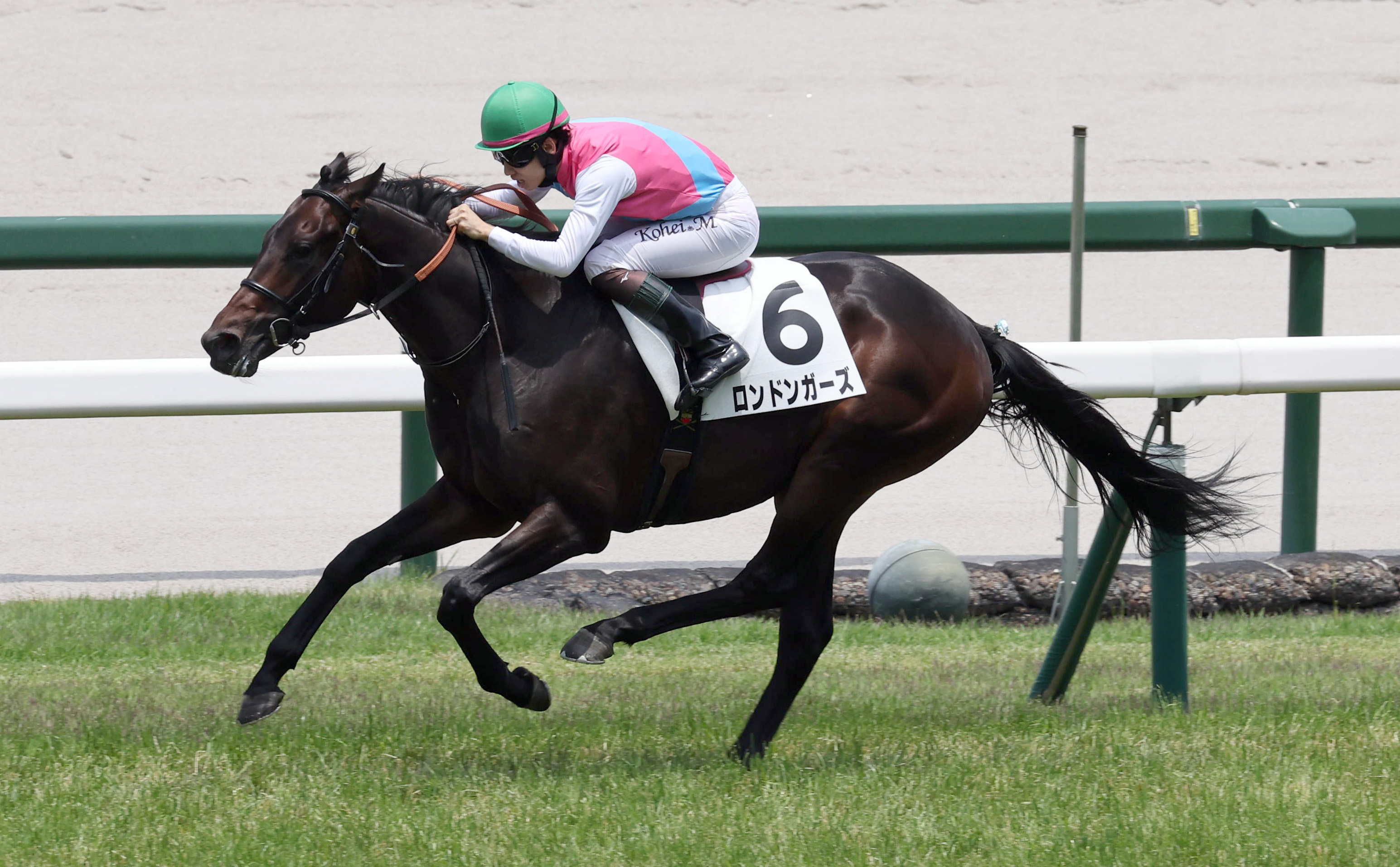 2歳新馬・阪神5R】ロンドンガーズ逃げ切ってデビュー勝ち - サンスポZBAT!
