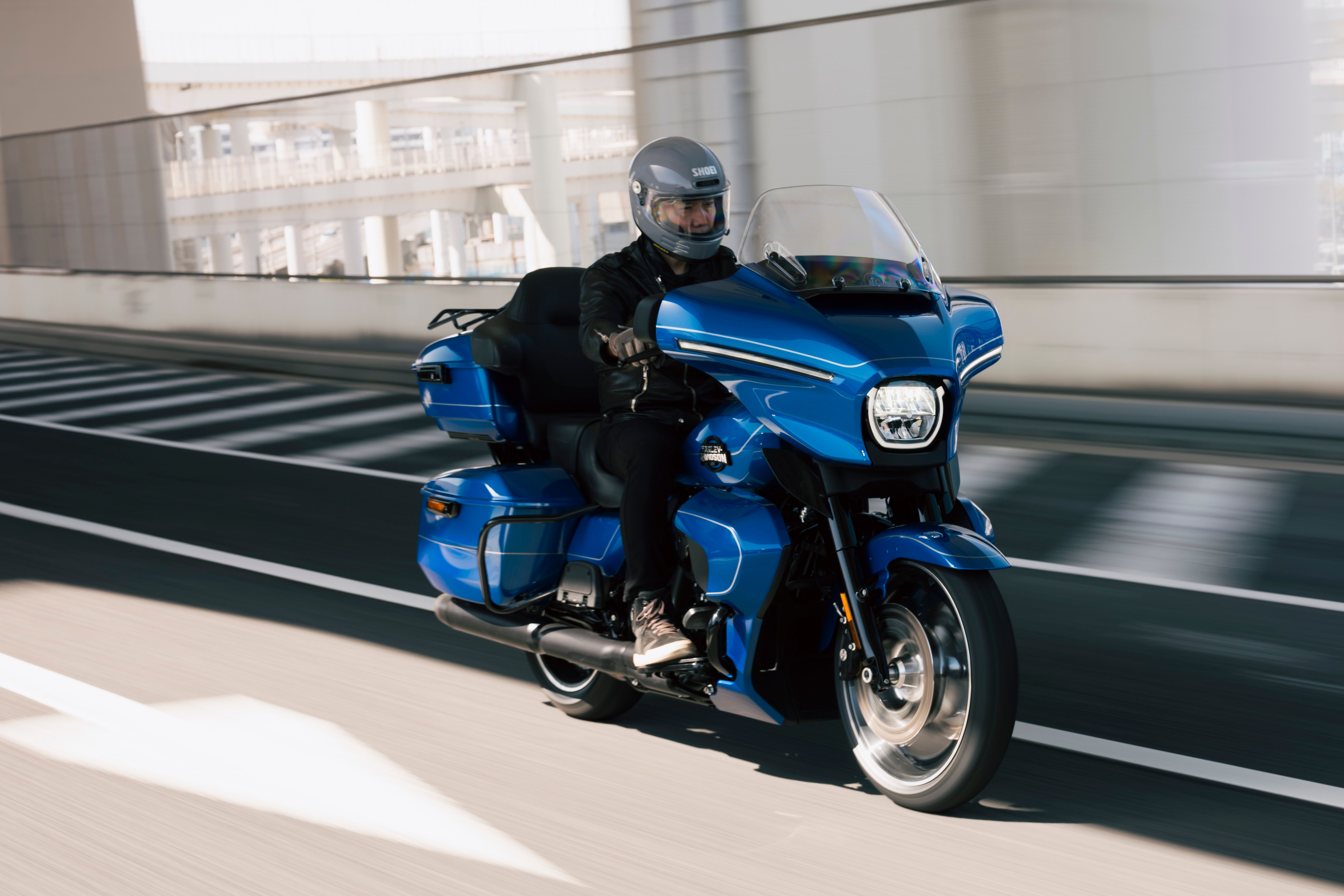 アデニアバリー　良型　破格！！ Yahoo!オークション -「アデニアバリー」(サボテン) (観葉植物