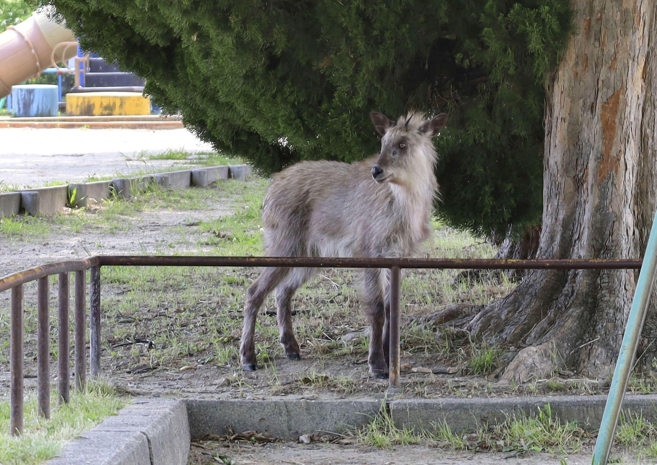 Maria chacon desnuda en onlyfans