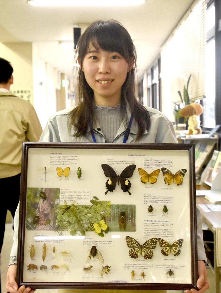 東京 葛飾で採集 ５６種３３７匹の昆虫標本 貴重なトンボも 産経ニュース
