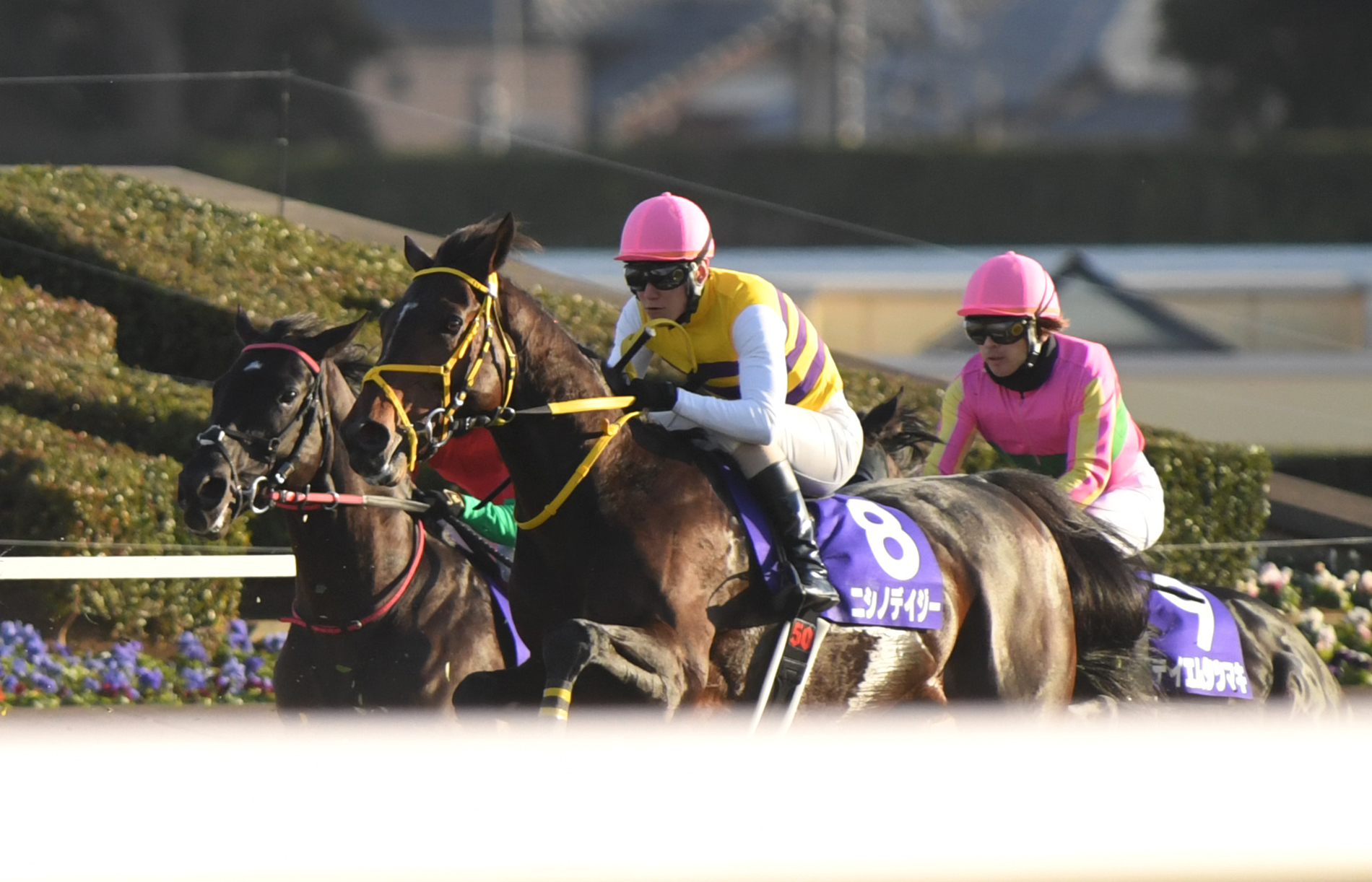 中山大障害】ニシノデイジーが5馬身差の圧勝！2年ぶり2度目のVで王者に