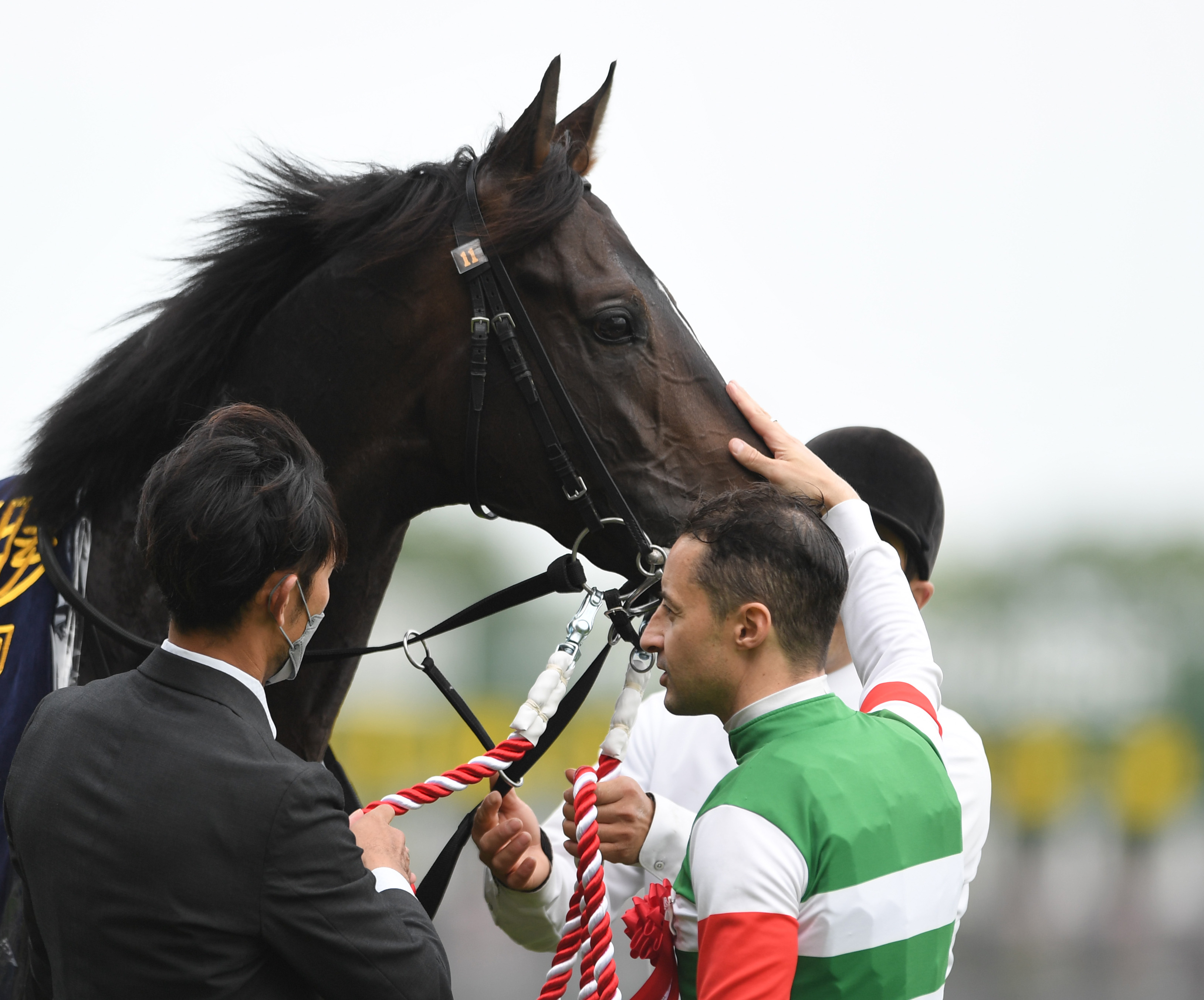 競馬 スキルヴィング - スポーツ