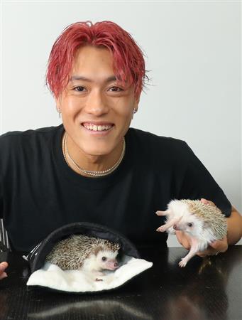 ペットと私 中務裕太 チクチクハリネズミがキレキレダンスの源 1 4ページ サンスポ