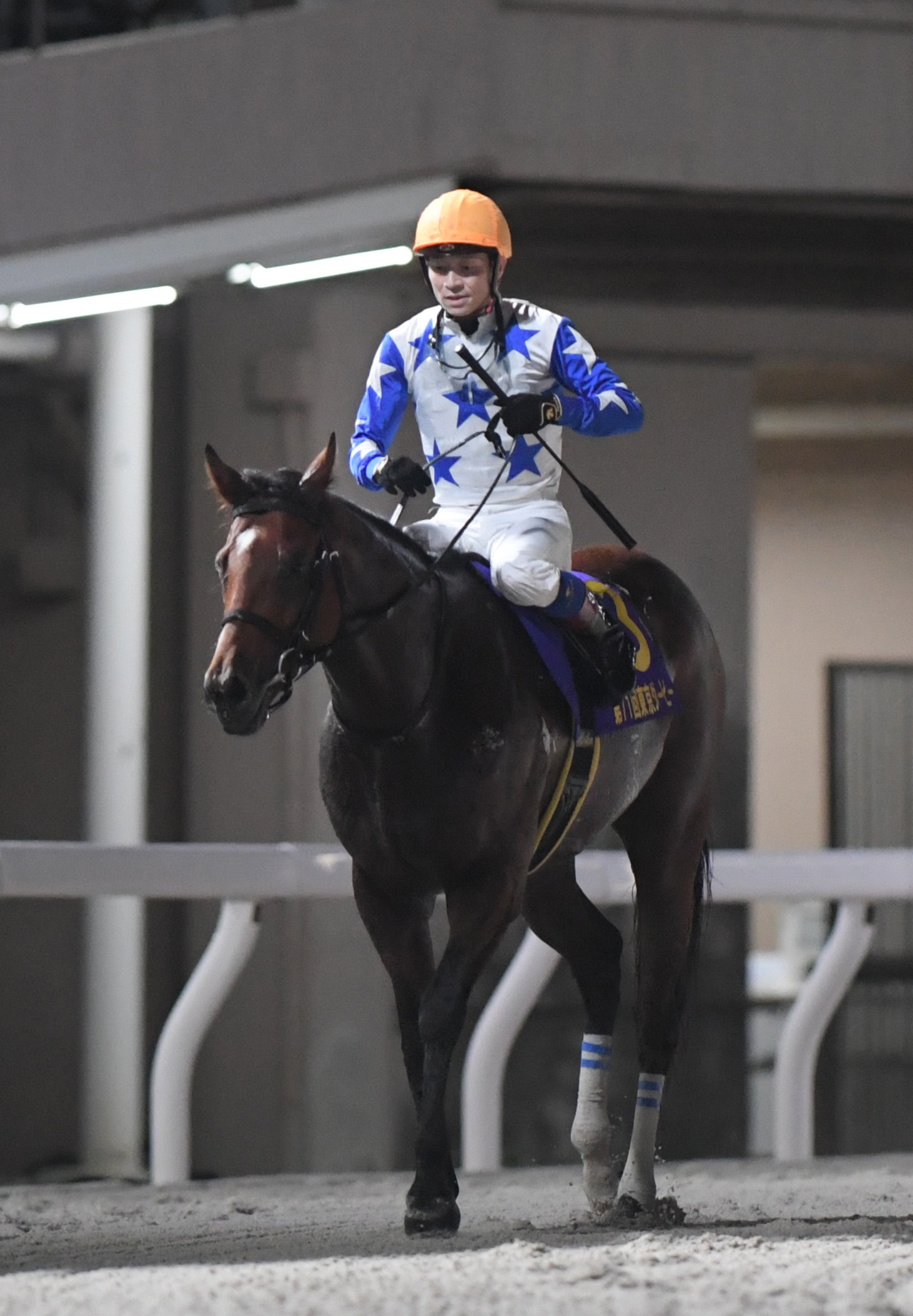 川崎競馬取材班 必勝馬券コラム】サンケイスポーツ盃戸塚記念