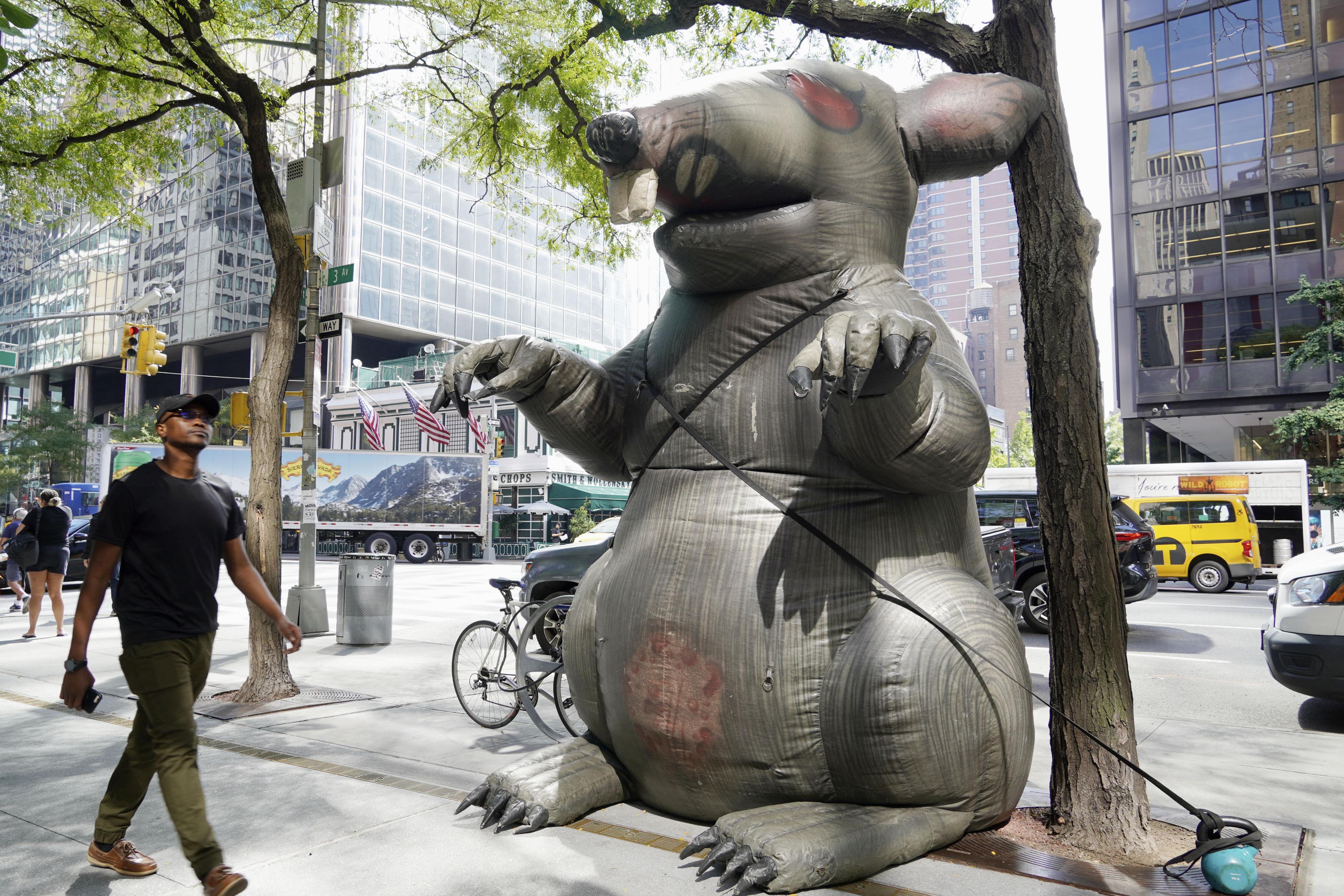 ネズミ対策で「サミット」 ニューヨークに大量生息、路上に死骸も 衛生