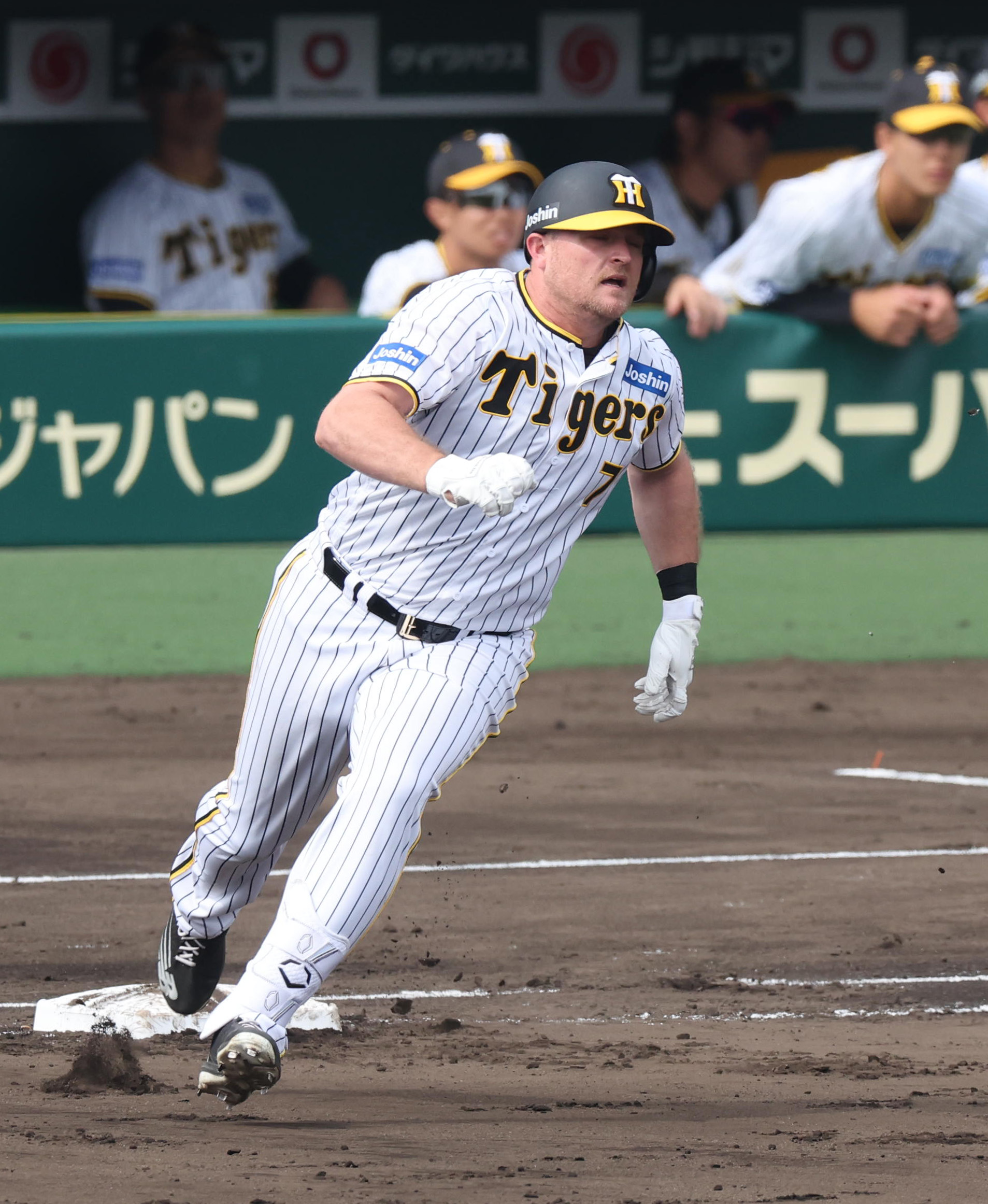 阪神・ノイジーが打った！ ド迫力走塁も披露！ 「もう特に腰の張りは