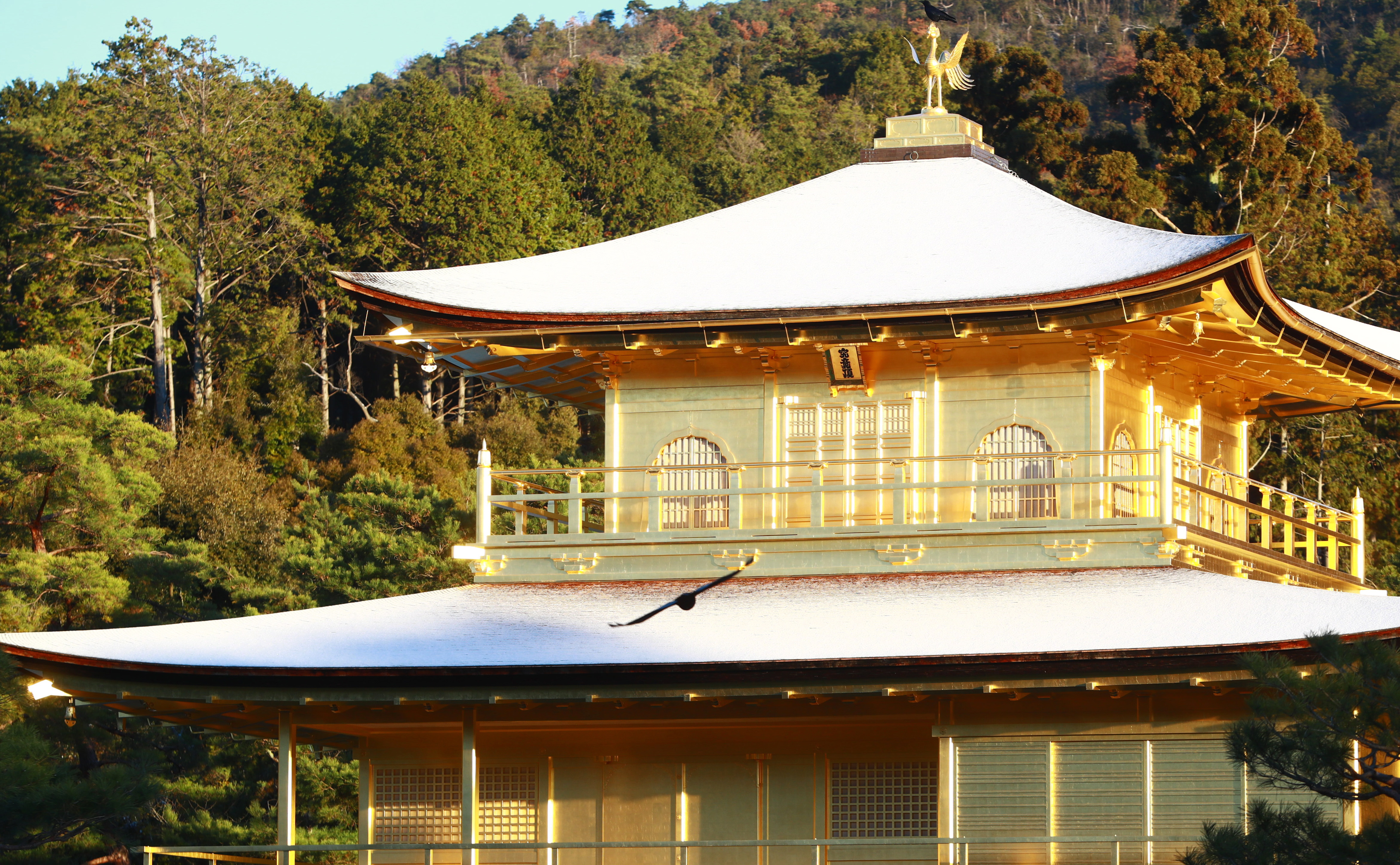 フォト＆動画】朝日浴び雪に映える金閣寺 この冬初の化粧 - 産経ニュース