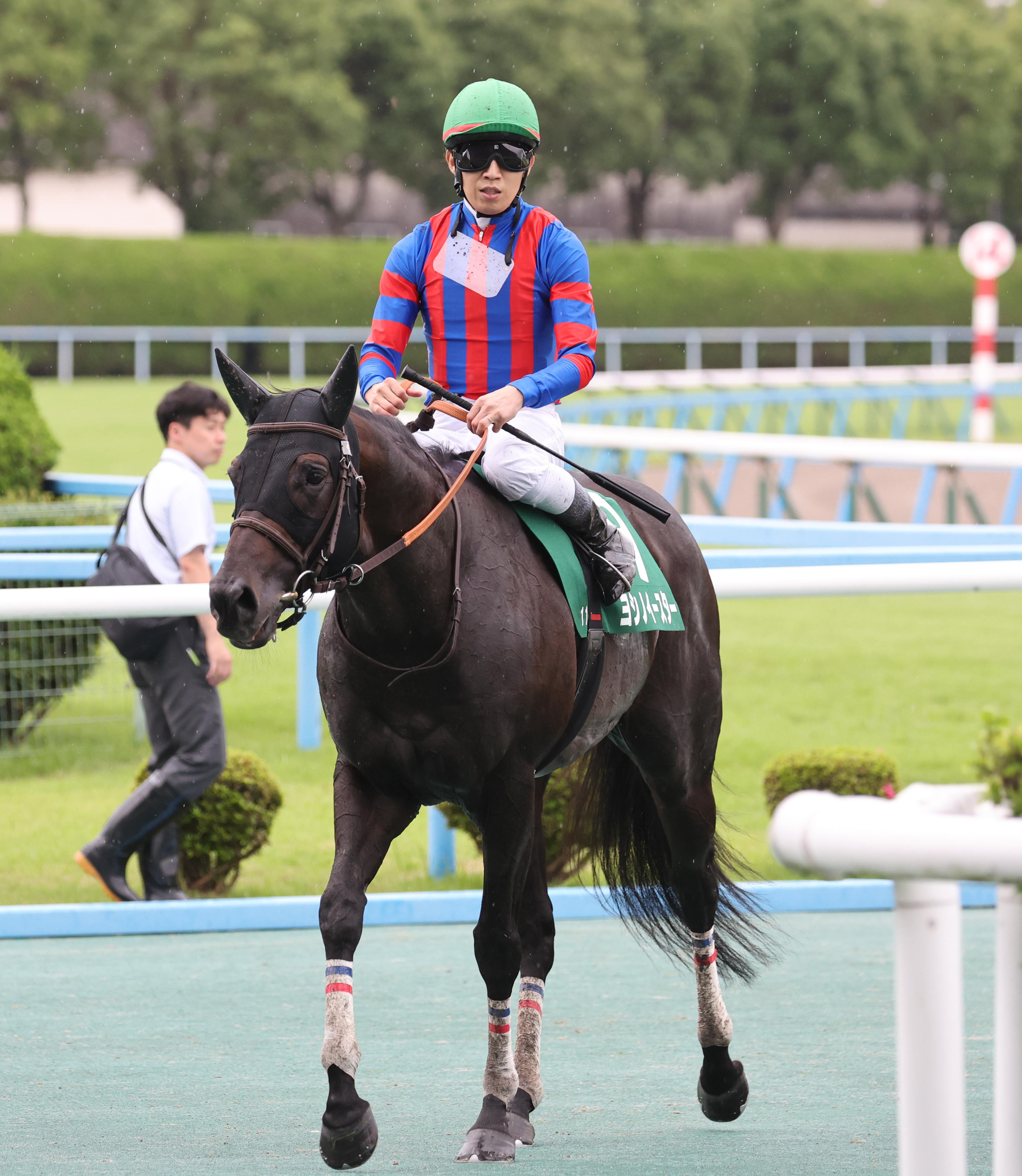 北九州記念】トップハンデ58キロのヨシノイースターが鋭く伸びて3着