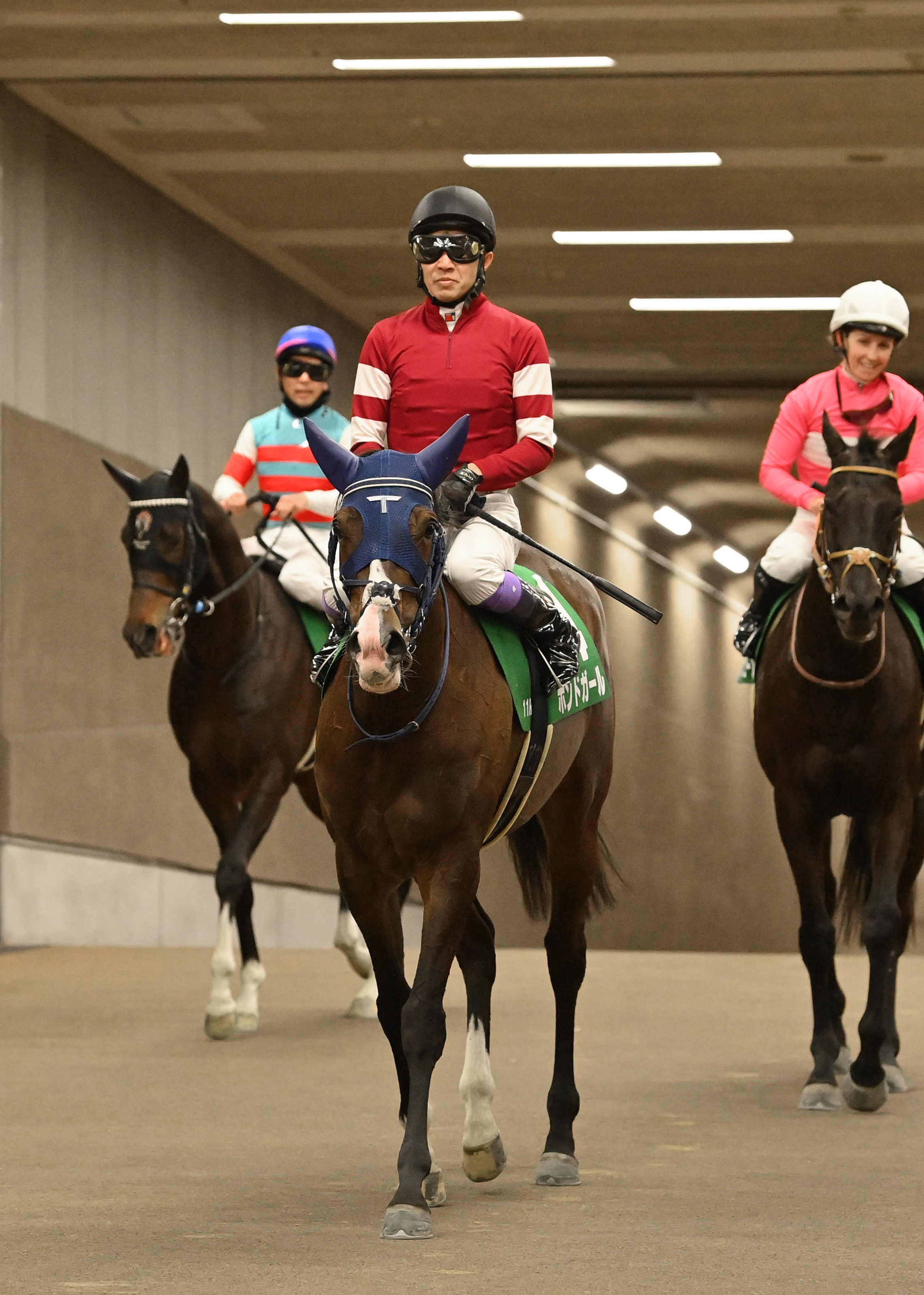 サンスポ杯阪神牝馬Sの注目点】新馬戦以来の勝利を目指すボンド