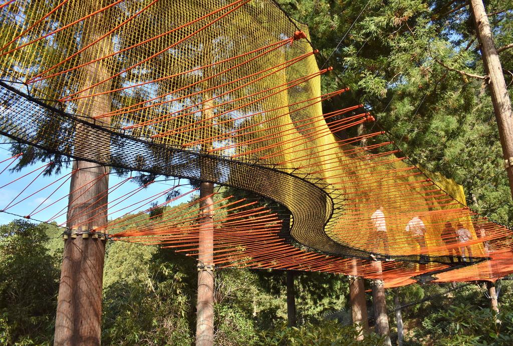 空中散歩 動画】【映えるかんさい】森に埋もれ空中散歩 ほしだ園地 - 産経ニュース