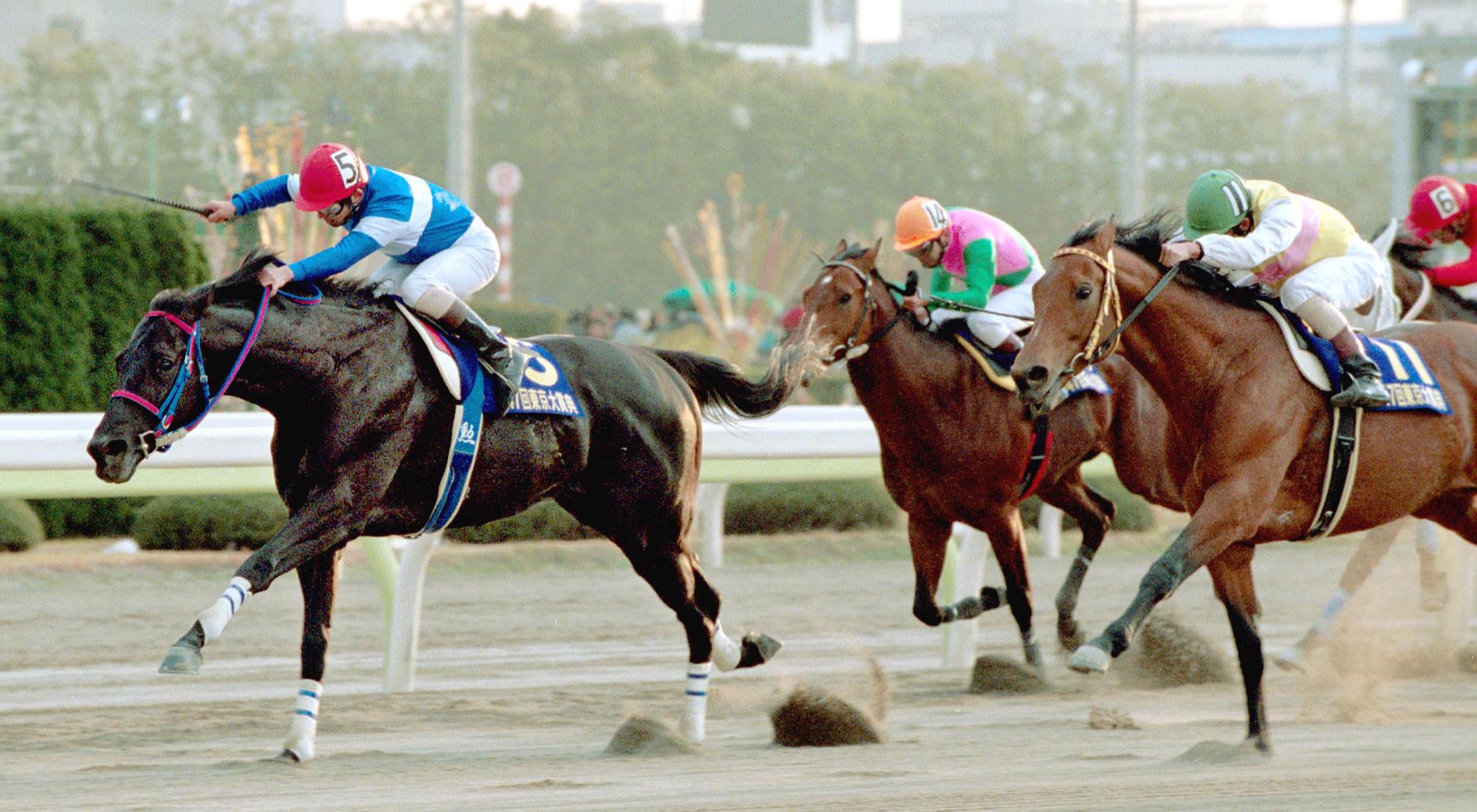 2001、02年NAR年度代表馬トーホウエンペラー死す 東京大賞典、南部杯に優勝 - サンスポZBAT!