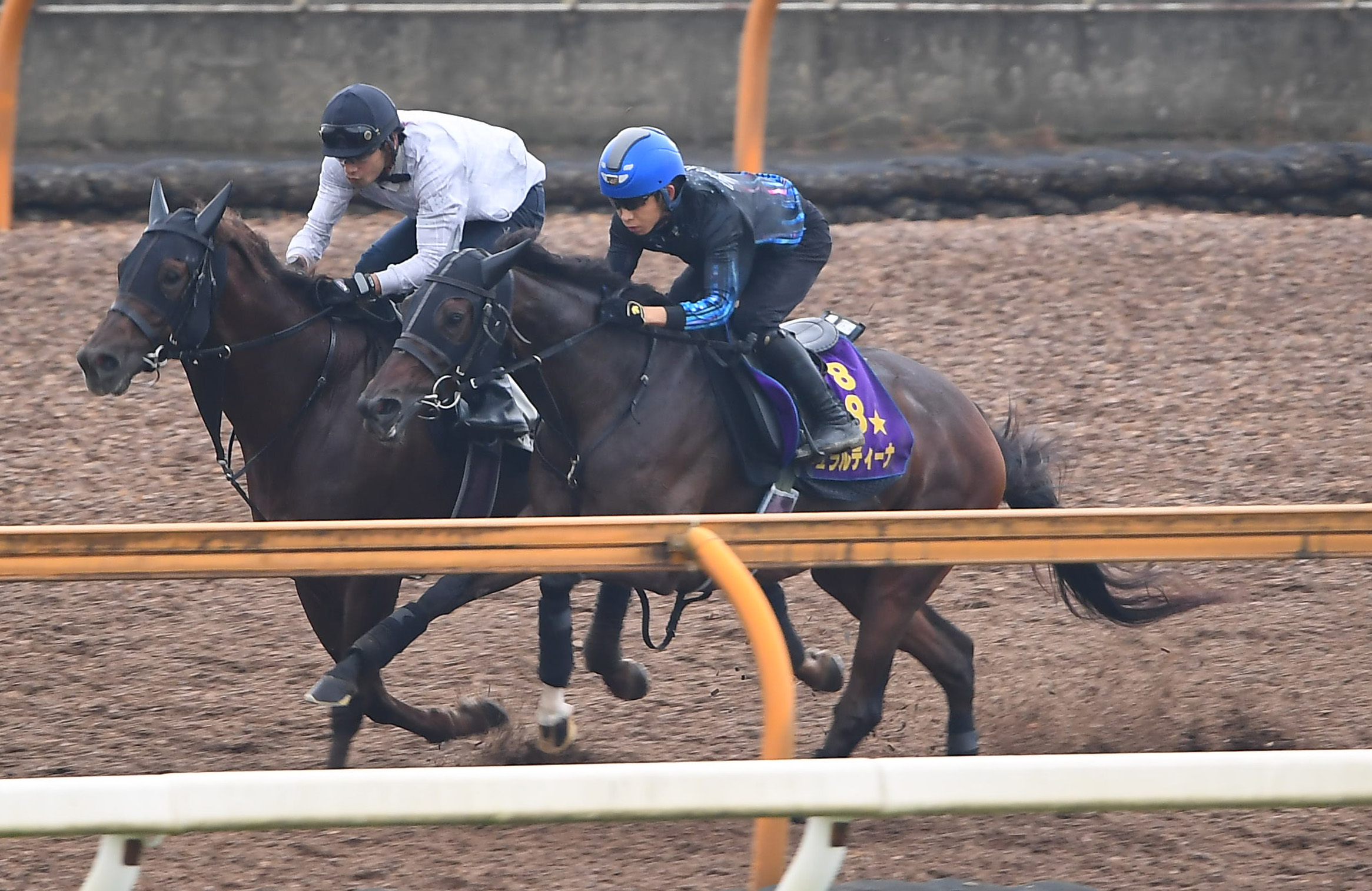 【産経賞オールカマー】ジェラルディーナ連覇へ万全１１秒８ 斉藤 ...