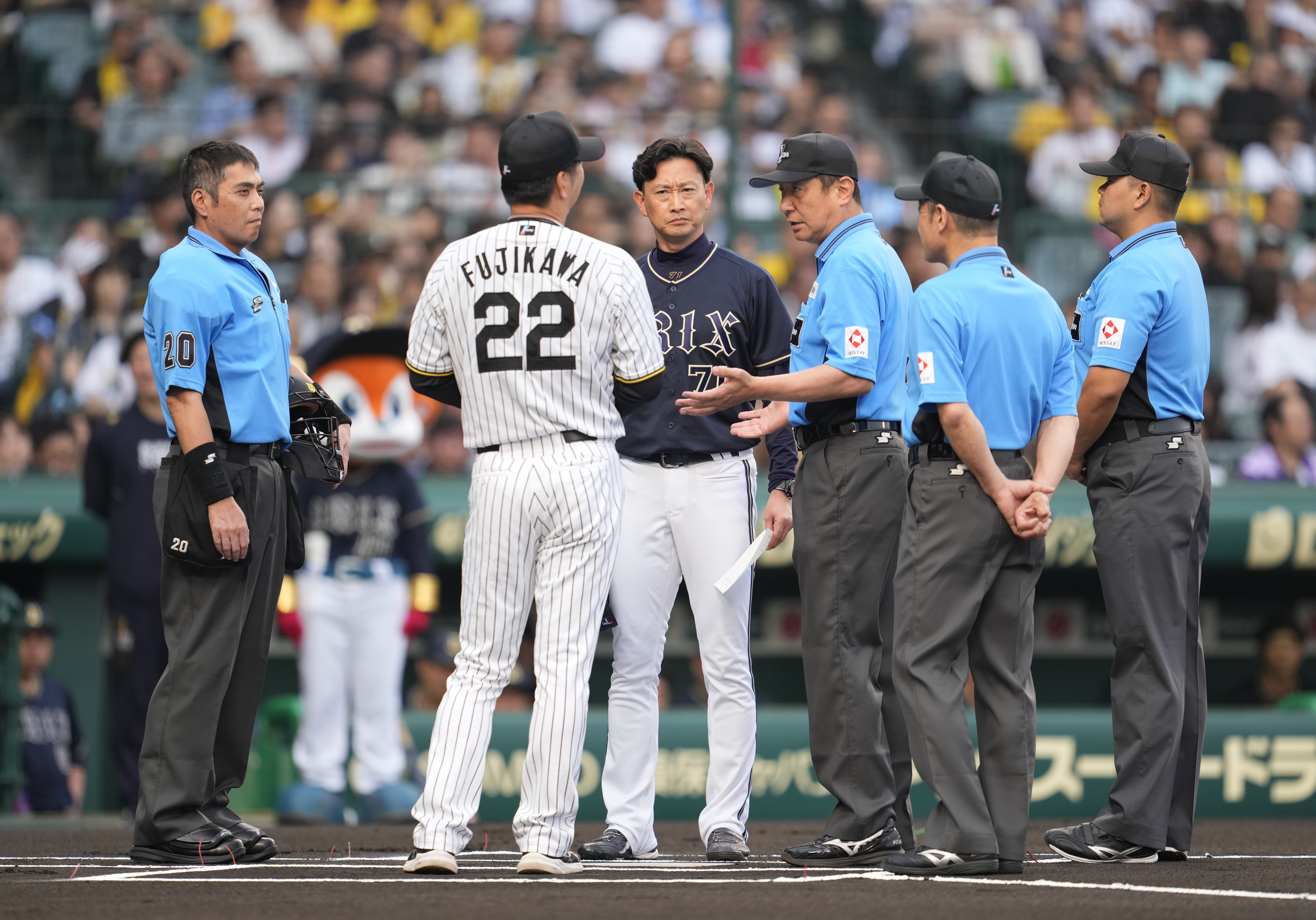 阪神甲子園球場 阪神甲子園球場の巨人戦レフトビジター専用応援おとな 