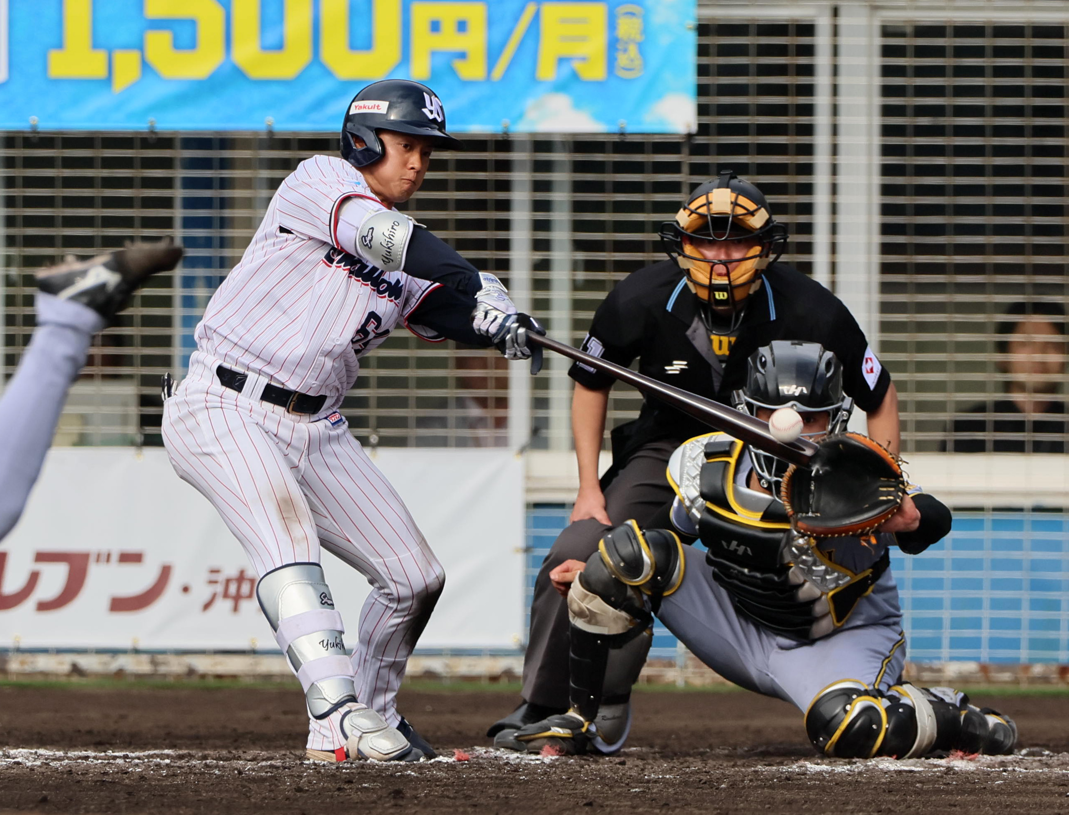 ヤクルト・岩田幸宏、3打数2安打1打点「ぶれずにやっていく」 - サンスポ