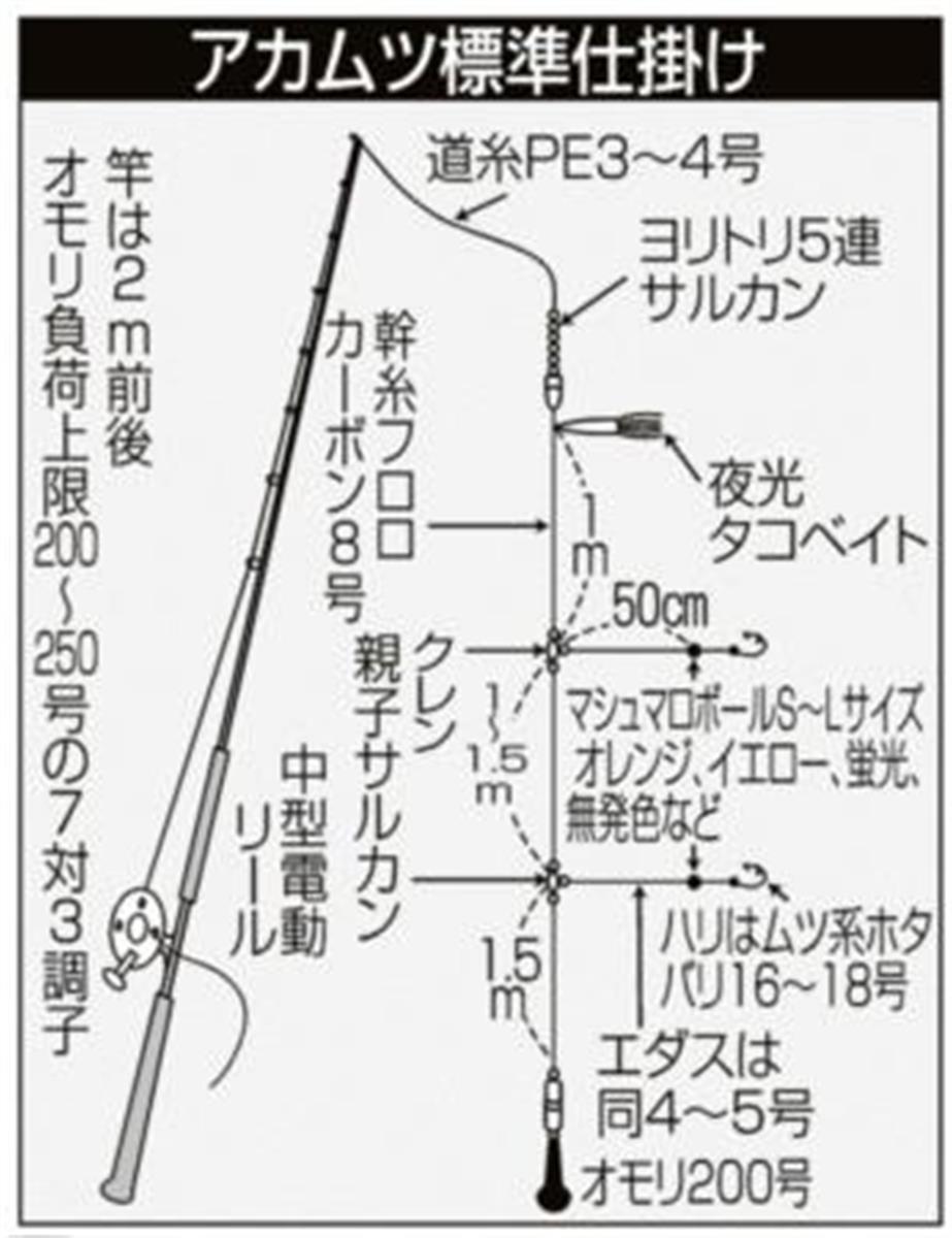 犬吠埼沖の海のルビー アカムツ４９センチ出た 茨城県神栖市 波崎 仁徳丸 1 2ページ サンスポ