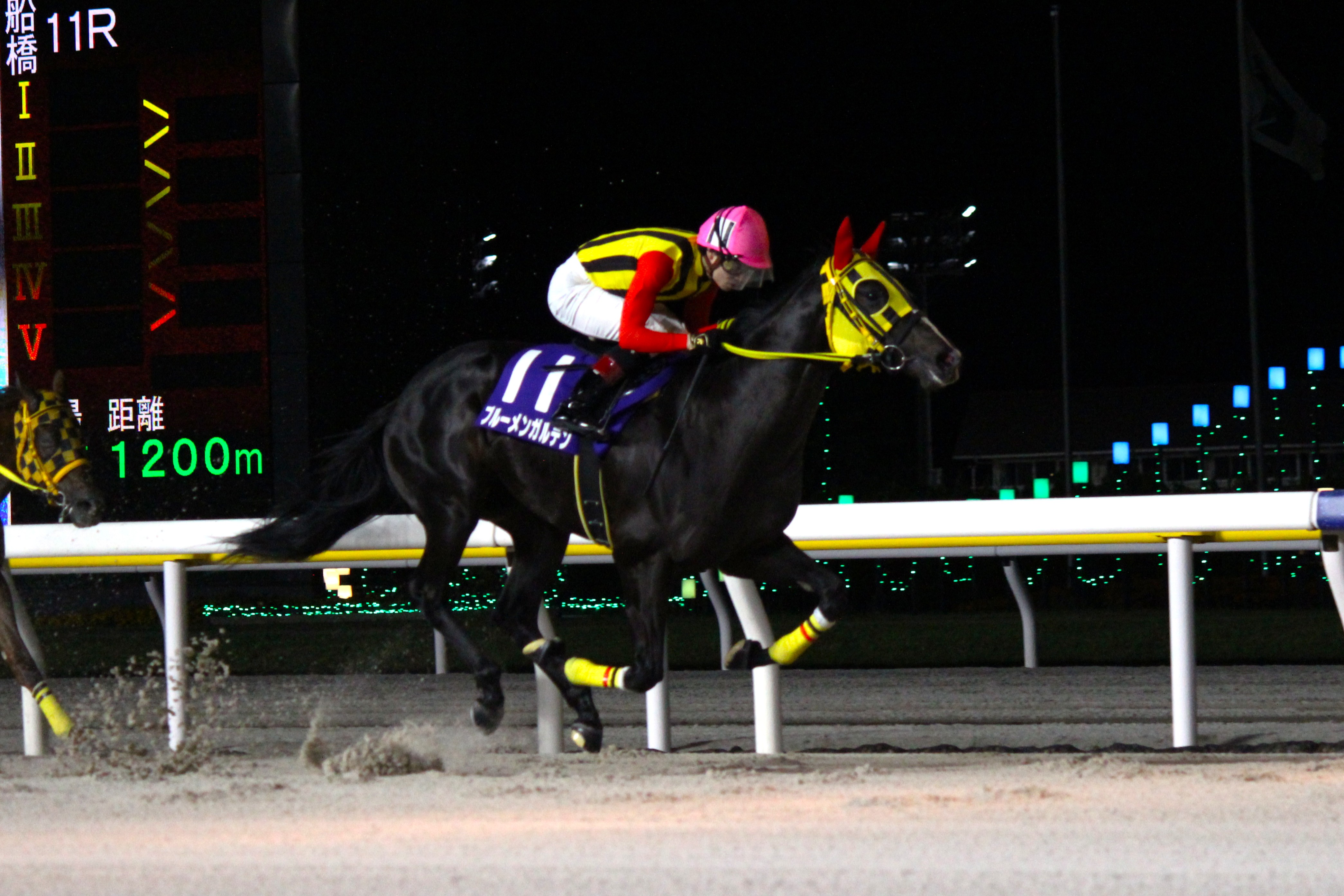 若潮スプリント】ブルーメンガルテンが2馬身差で快勝 - サンスポZBAT!