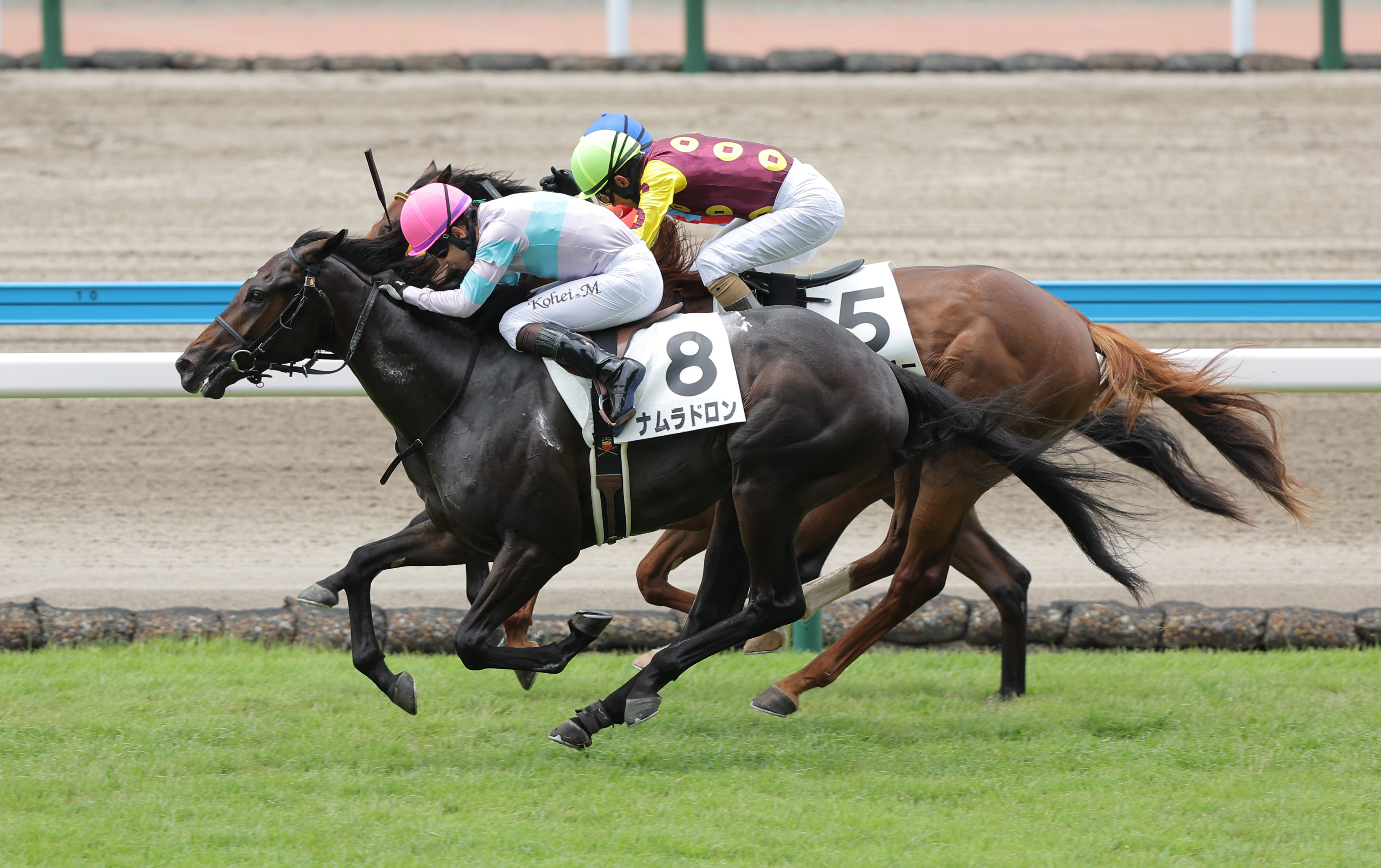 2歳新馬・小倉5R】ナムラドロンが押し切り！ダノンスマッシュ産