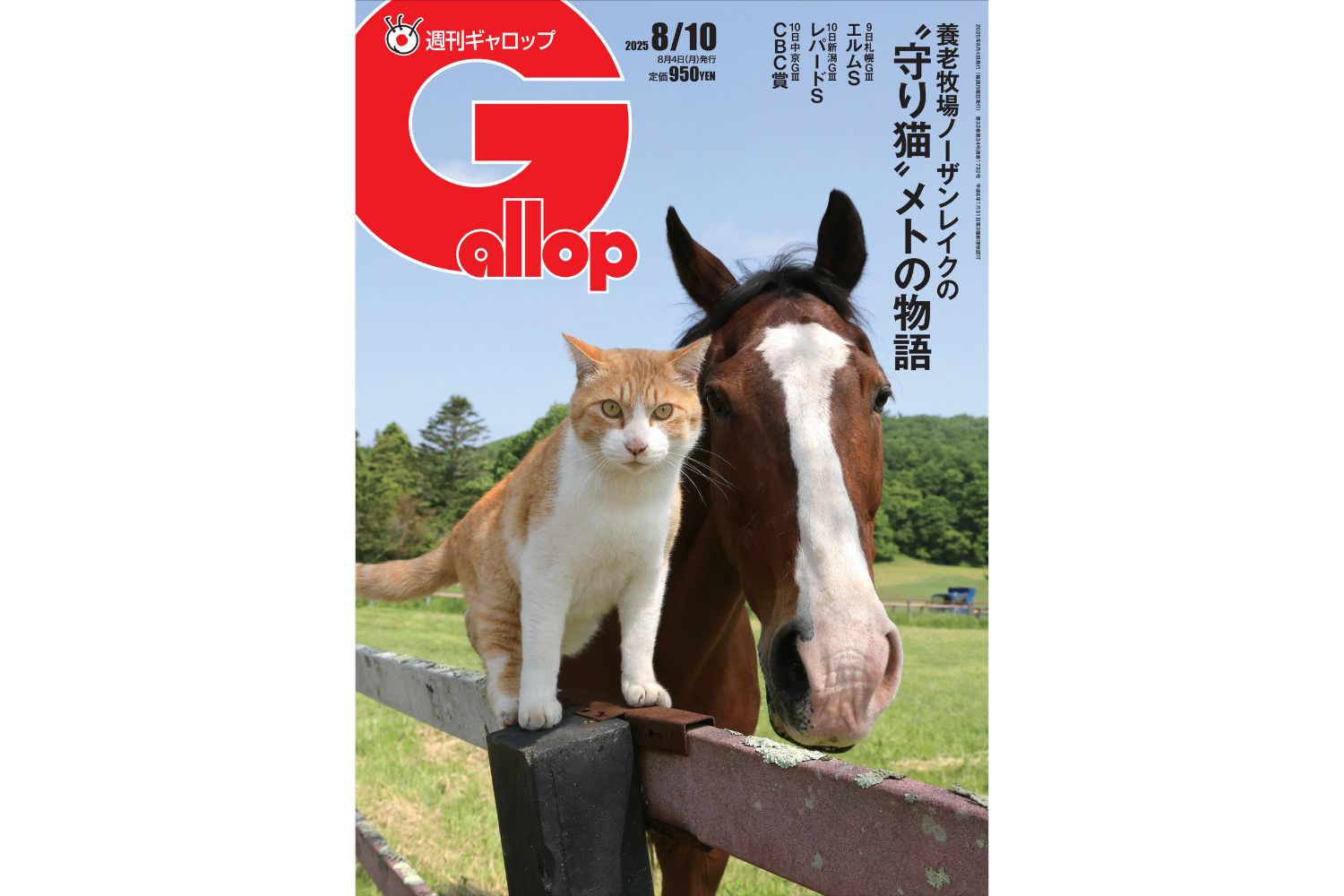 週刊Gallop】創刊初「猫」が表紙！ “幸運を運ぶ猫”メトと