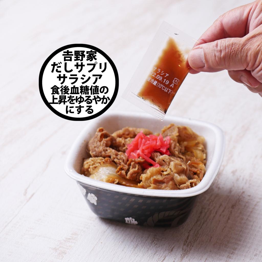 吉野家 どんぶり サラシア丼 レア - 食器