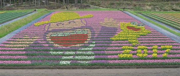 ３００種 １００万本 兵庫 豊岡でチューリップまつり開幕 産経ニュース