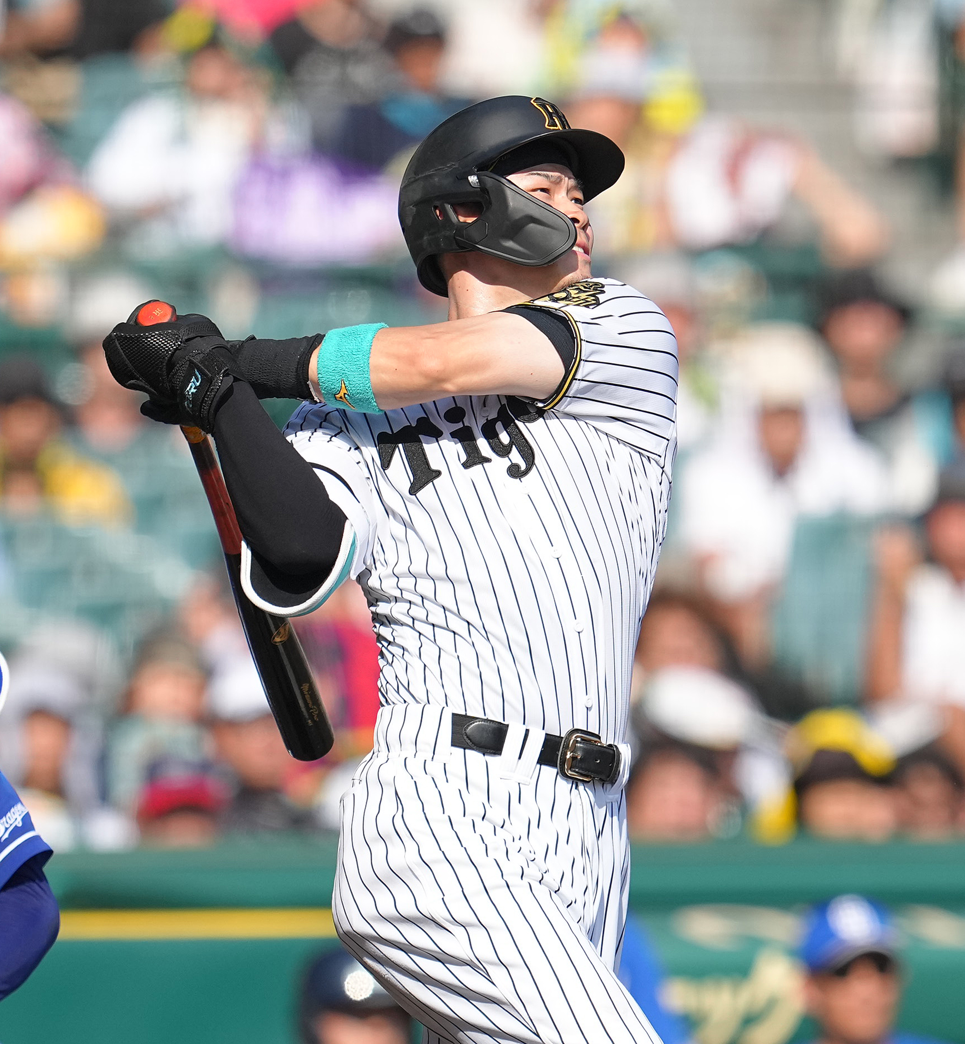 阪神・佐藤輝明が37号2ラン！ ミスターに並ぶ入団5年目までの