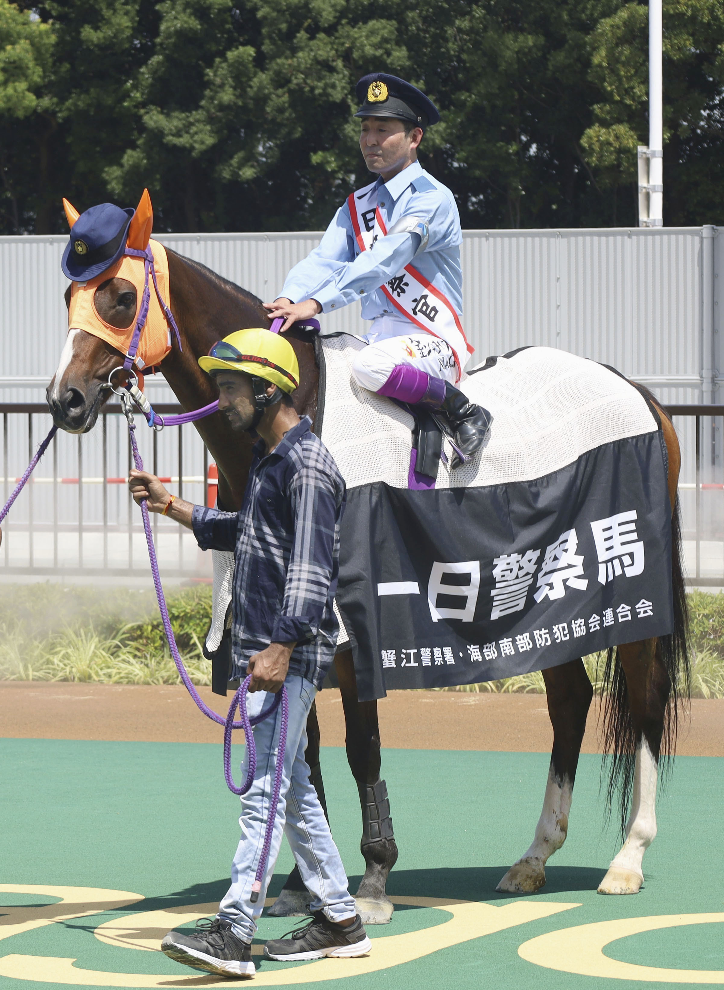 ノリタケ　競走馬跳馬 ウマい話に気をつけて 最高齢競走馬が呼びかけ - 産経ニュース