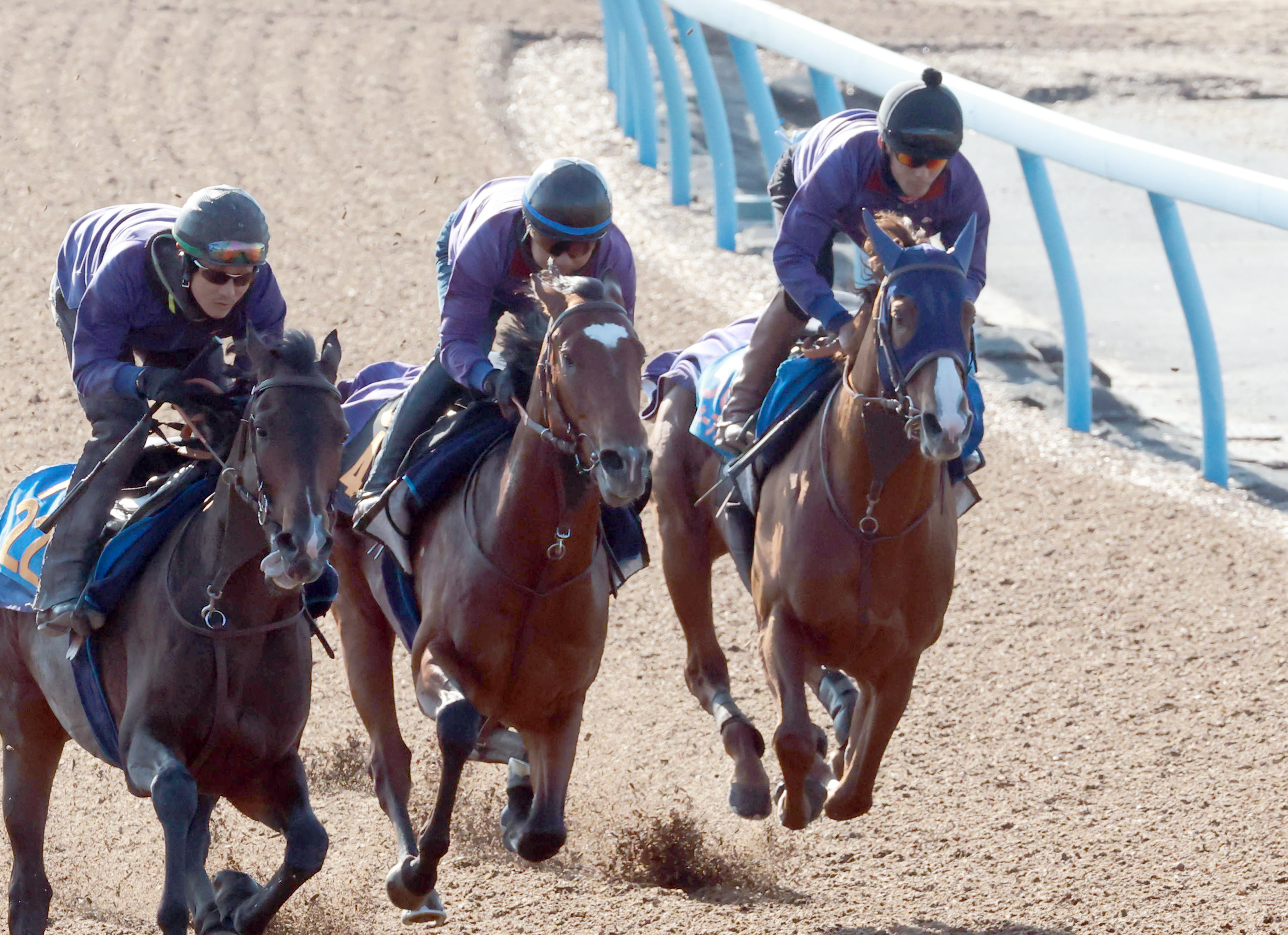 1995年サファイヤステークス・ブライトサンディー現地的中単勝馬券