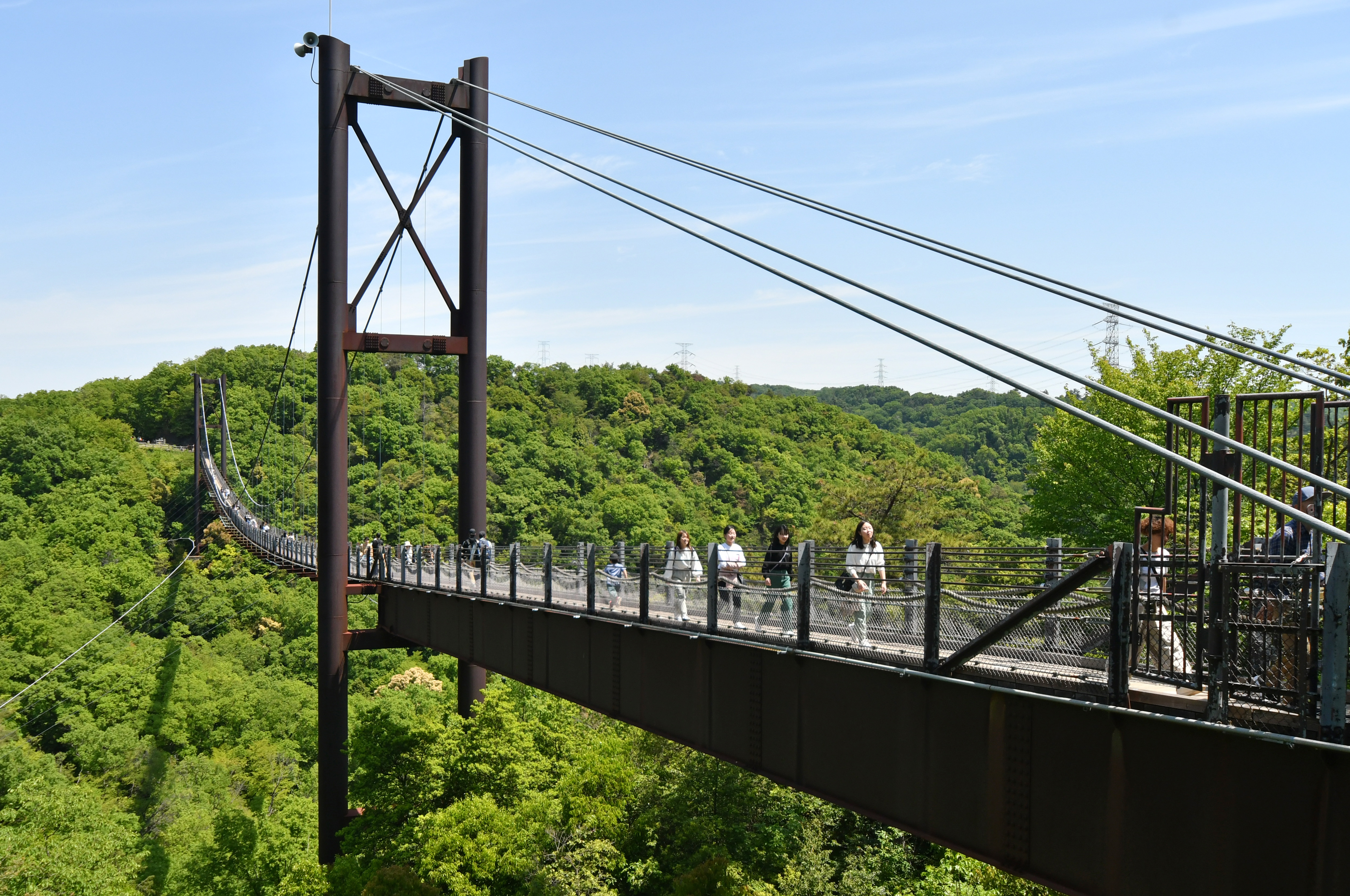 動画】【映えるかんさい】森に埋もれ空中散歩 ほしだ園地 - 産経ニュース
