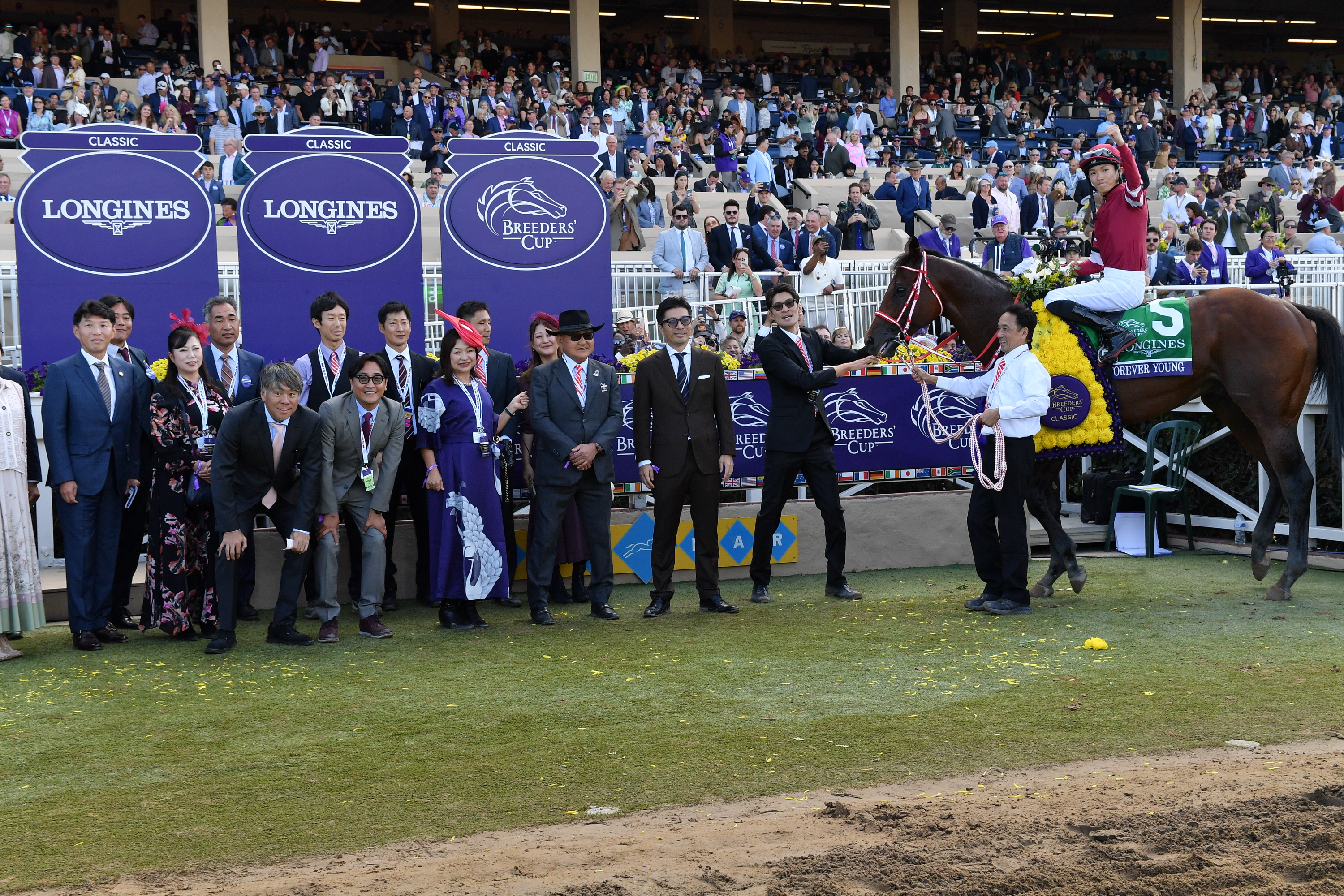 合馬公式アカウント1  THE AMERICAN FUR AWARDS 合馬公式アカウント1 THE AMERICAN FUR AWARDS 合馬公式アカウント1