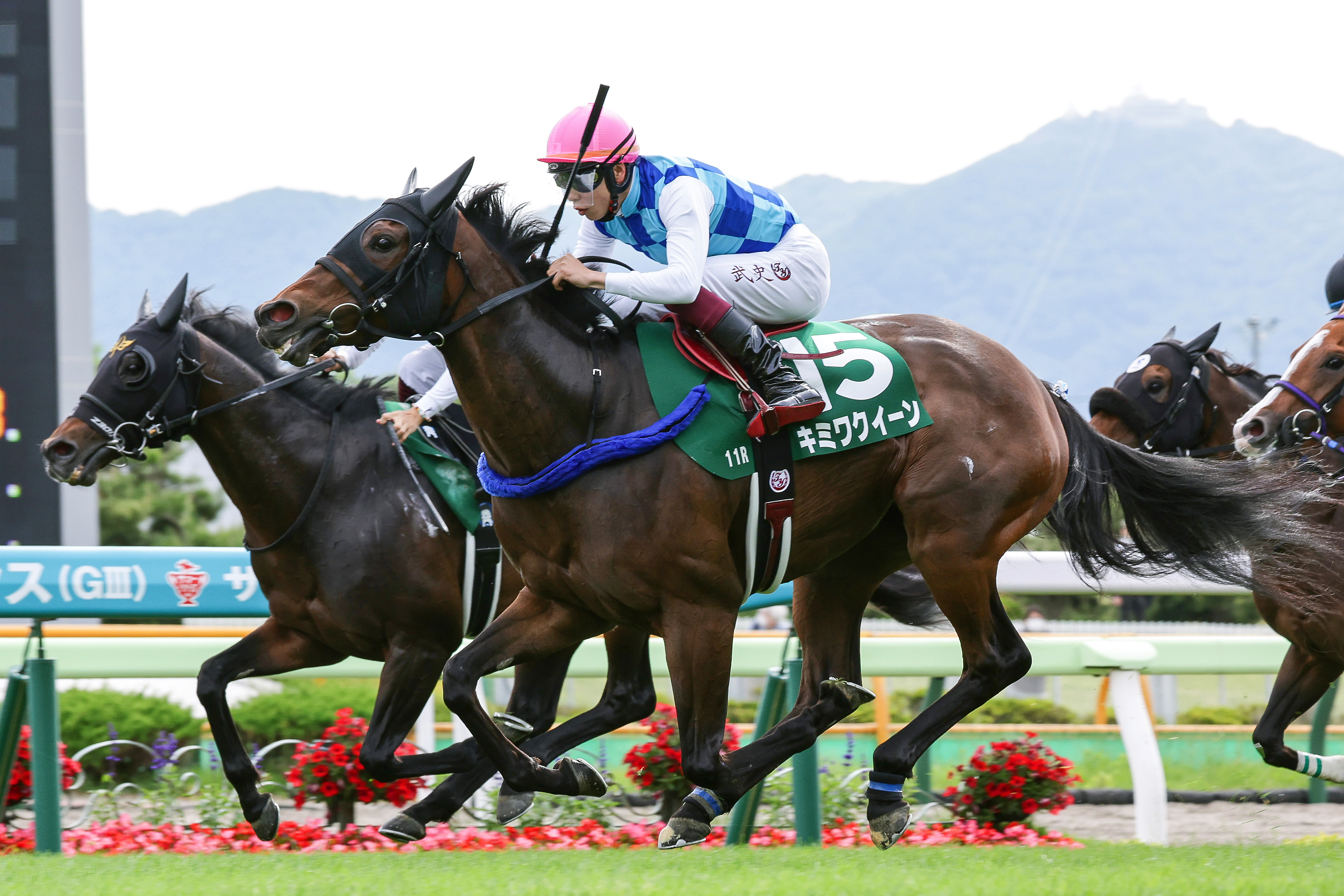キミワクイーンが登録抹消 23年の函館スプリントS制覇 - サンスポZBAT!