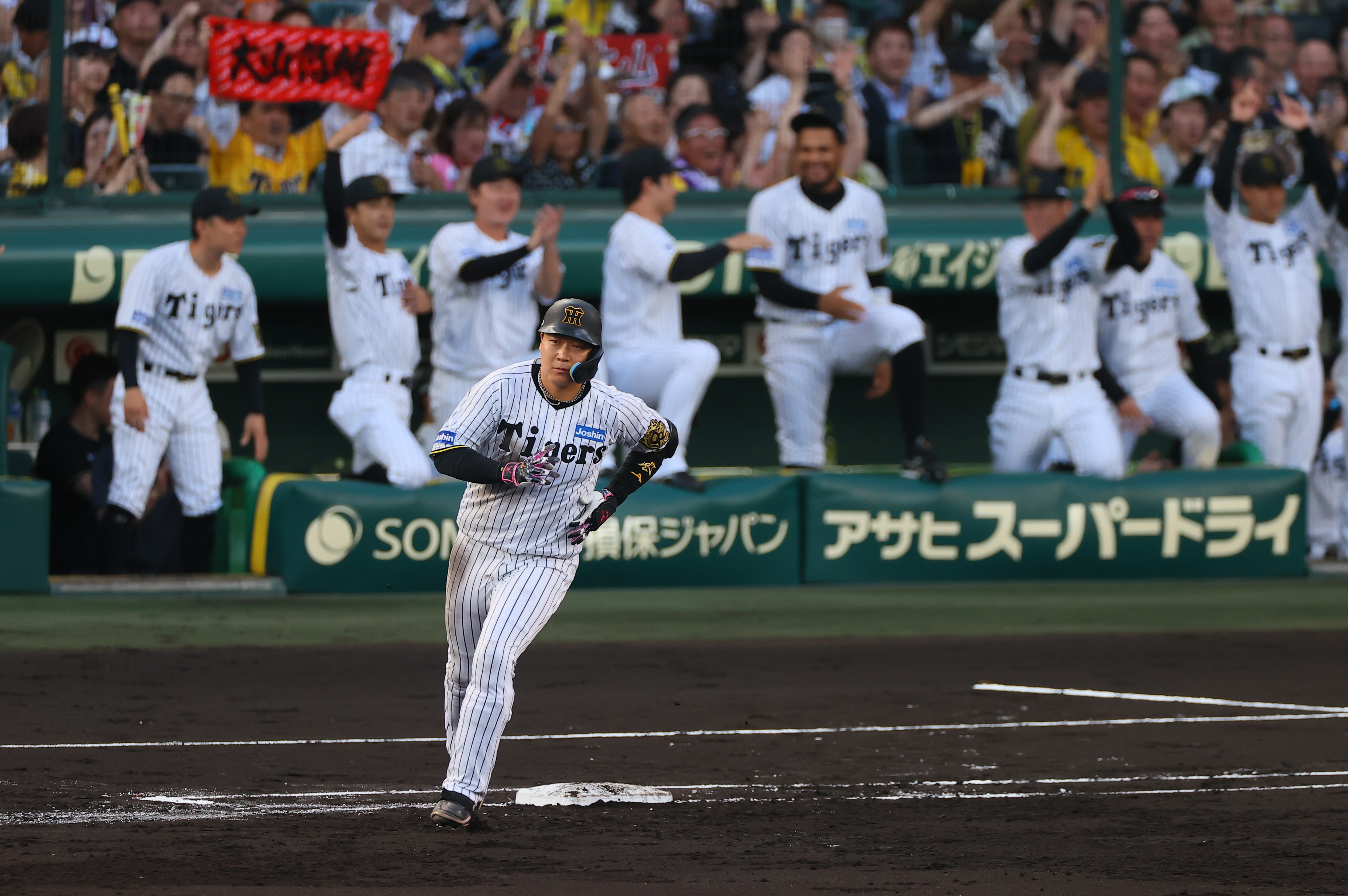 阪神タイガース 大山悠輔選手 公式戦ホームランボール 阪神タイガース 大山悠輔選手 公式戦ホームランボール 250.阪神