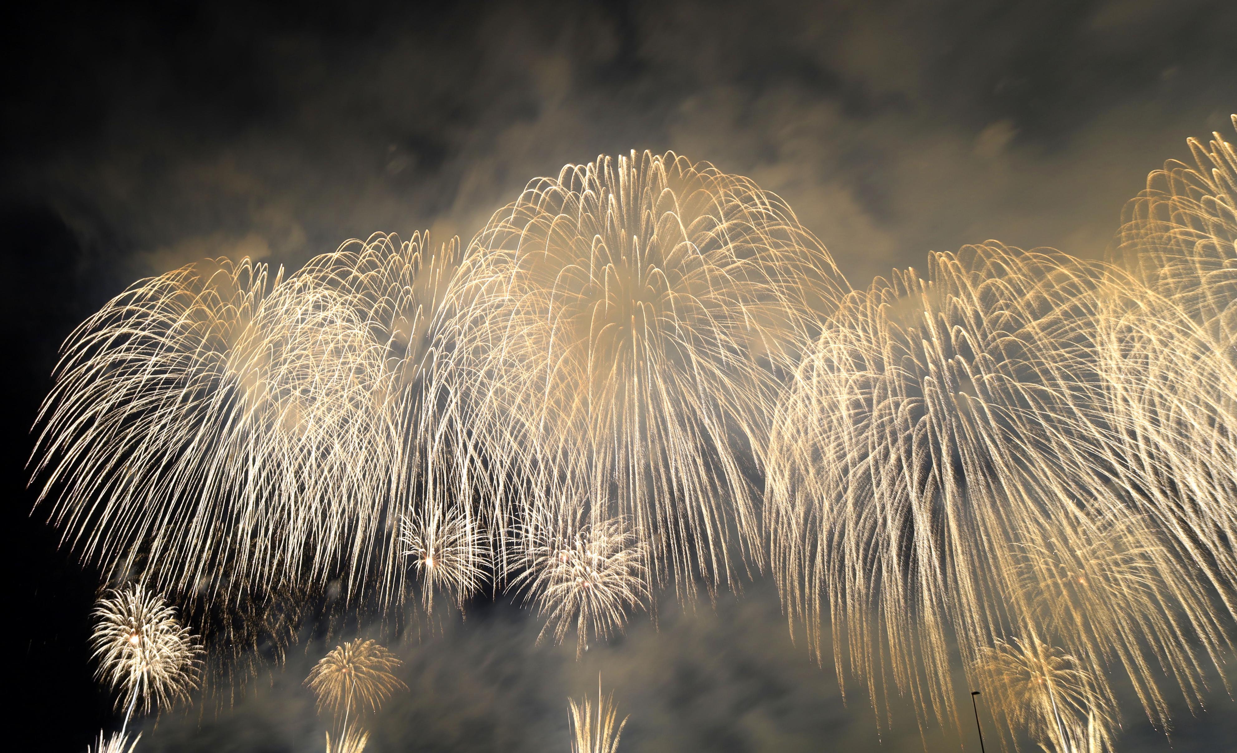長岡まつり大花火大会 ３年ぶり開催 夏の夜空に大輪の花 サンスポ