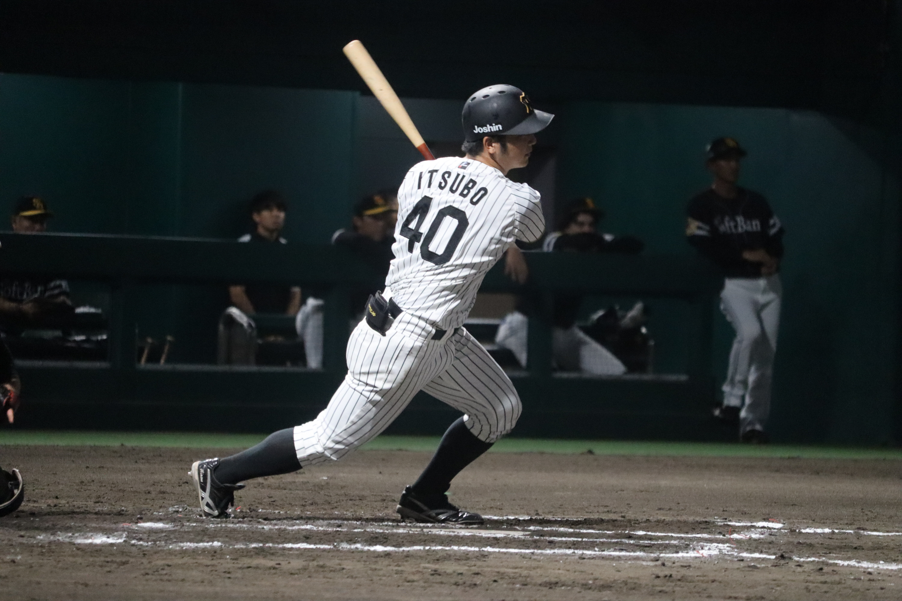 阪神タイガース 井坪陽生 赤枠版 ルーキーカードシリアルナンバー5⁄5